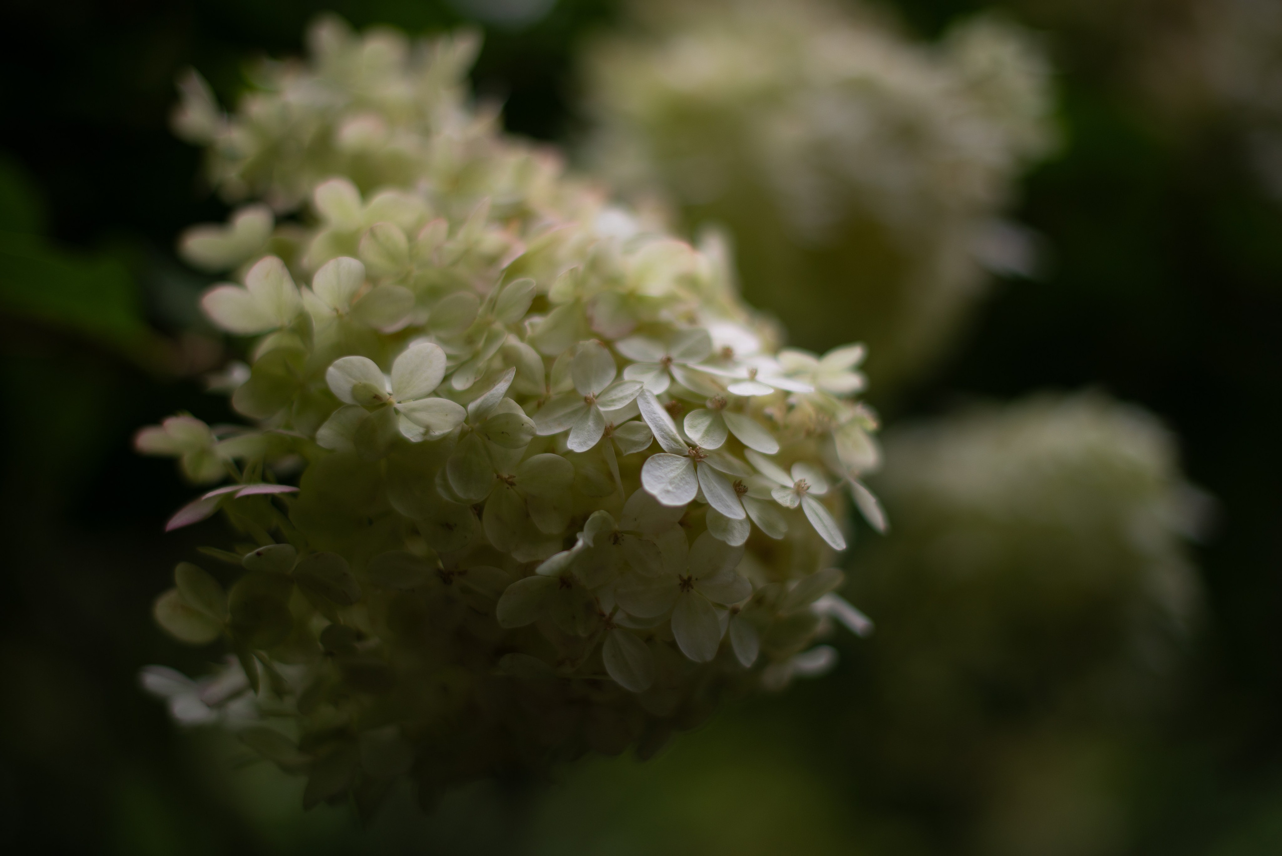 Блог • Съёмки • События • полезное для Клиентов • Репортажный фотограф Виктория Раджевна. Victoria Radjevna Репортажный Fashion Фотограф- Видеограф Санкт-Петербурга и Москвы