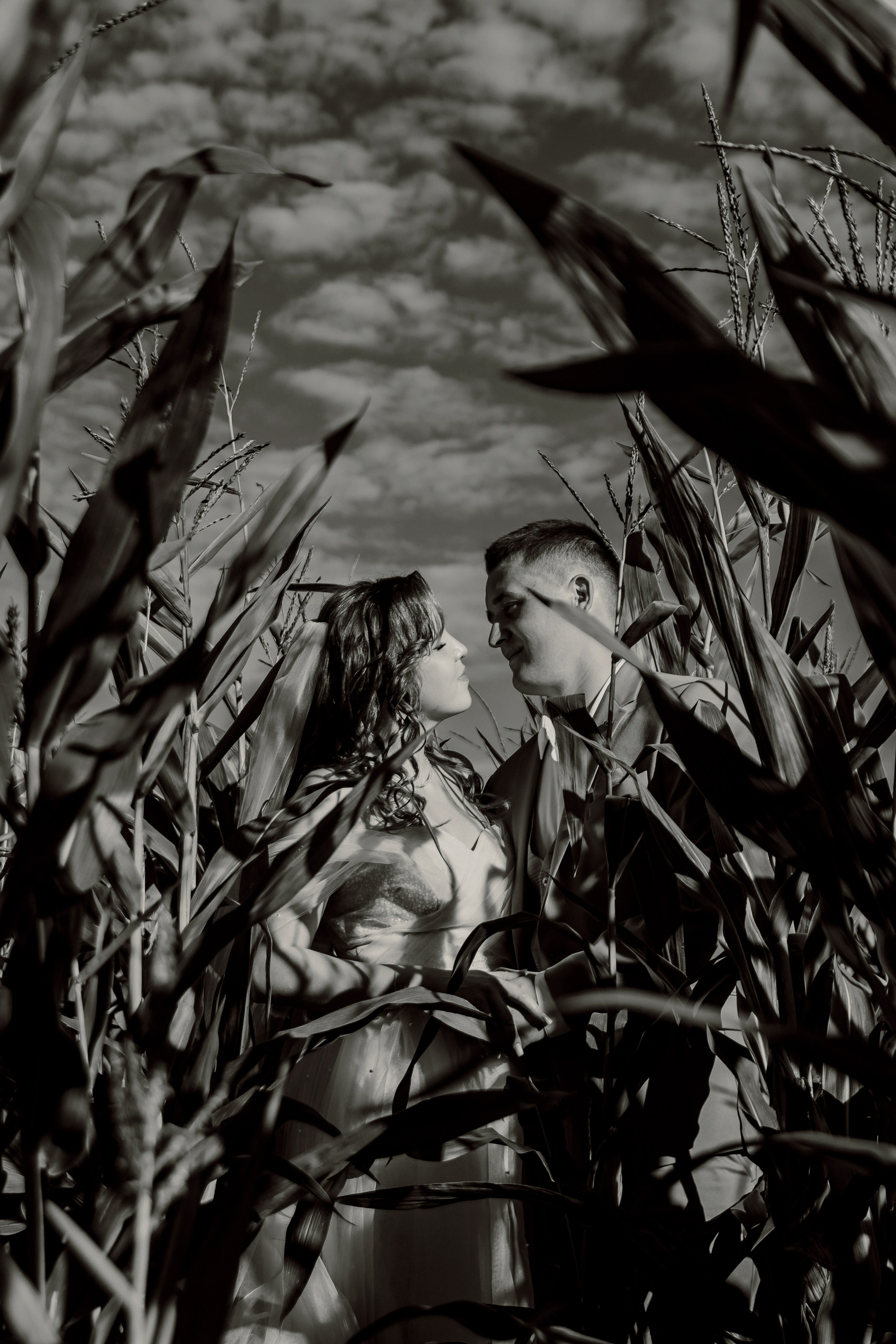 Дмитрий и Александра. Свадебный и индивидуальный фотограф в Суворове Клюева Мария