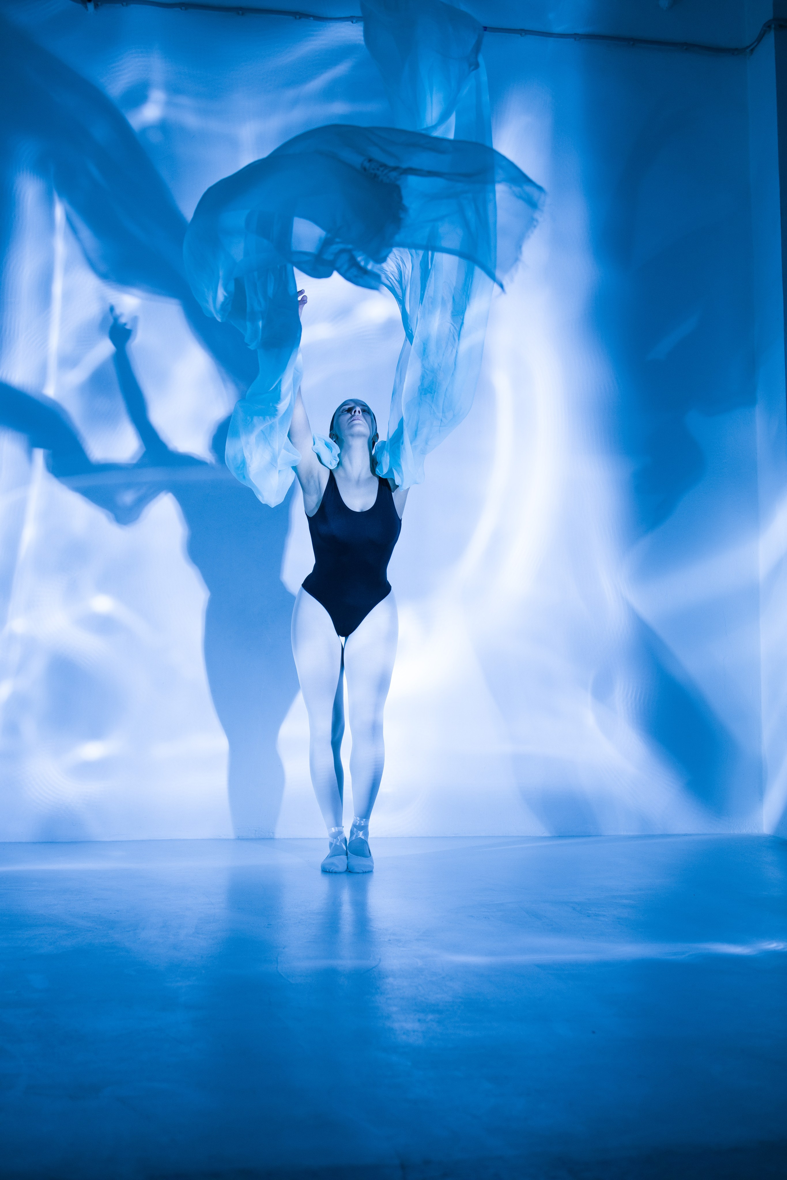 Лилия. Художественная фотография