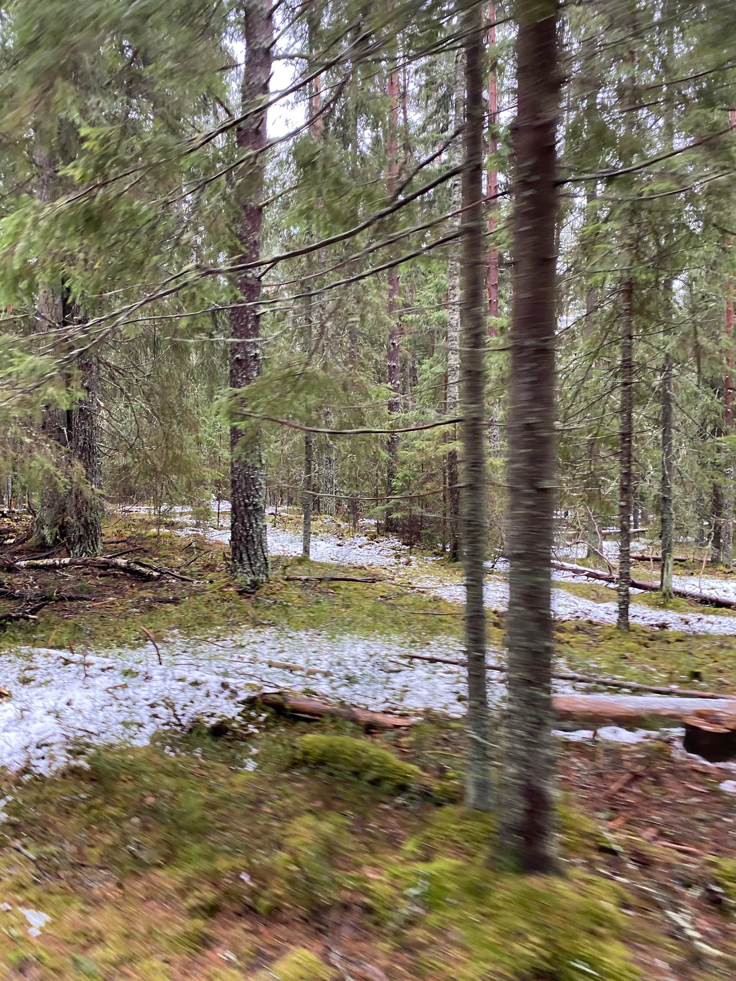 Вокруг Селигера-20. Своя Мастерская