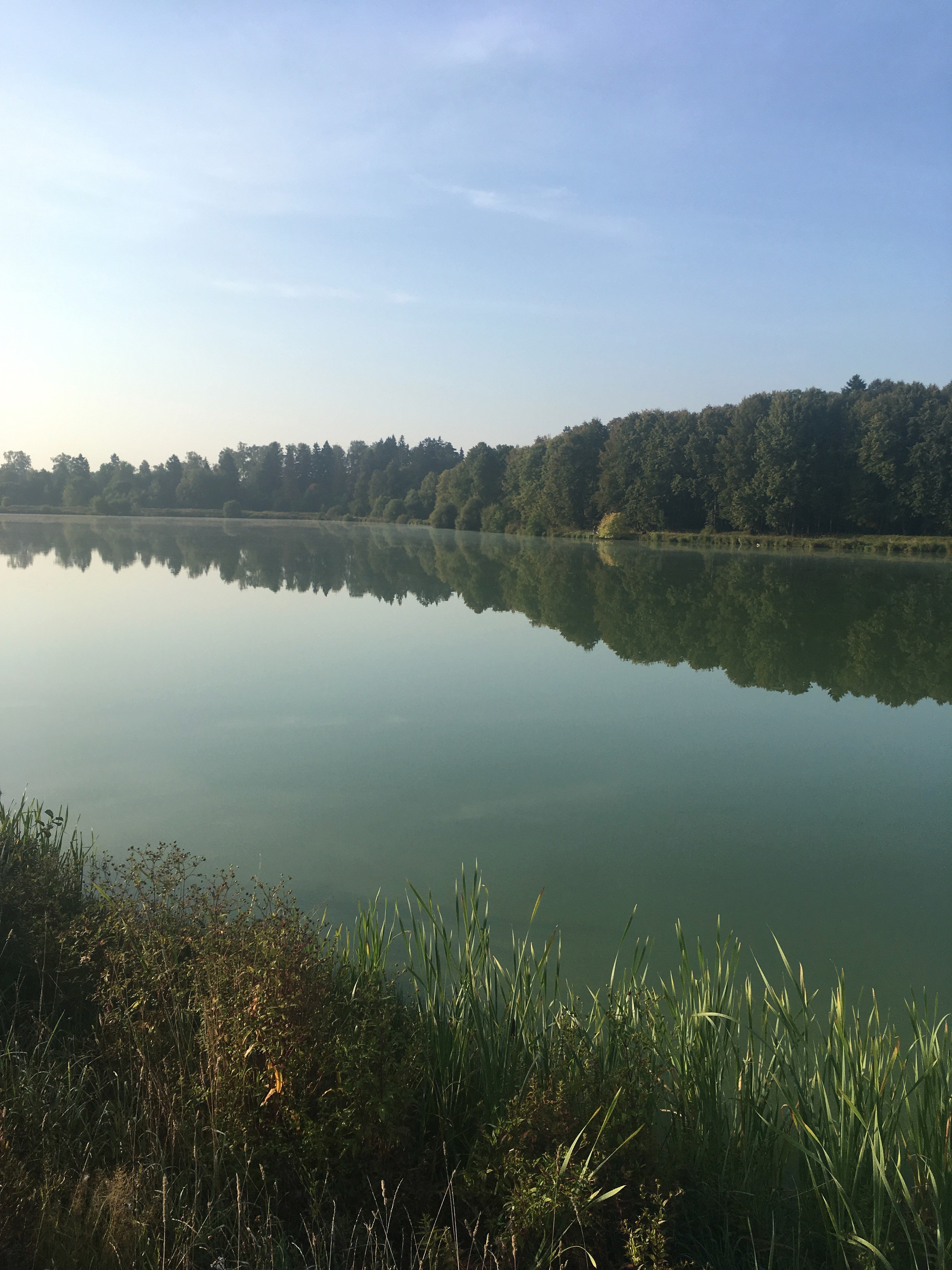 Молоди-19. Своя Мастерская