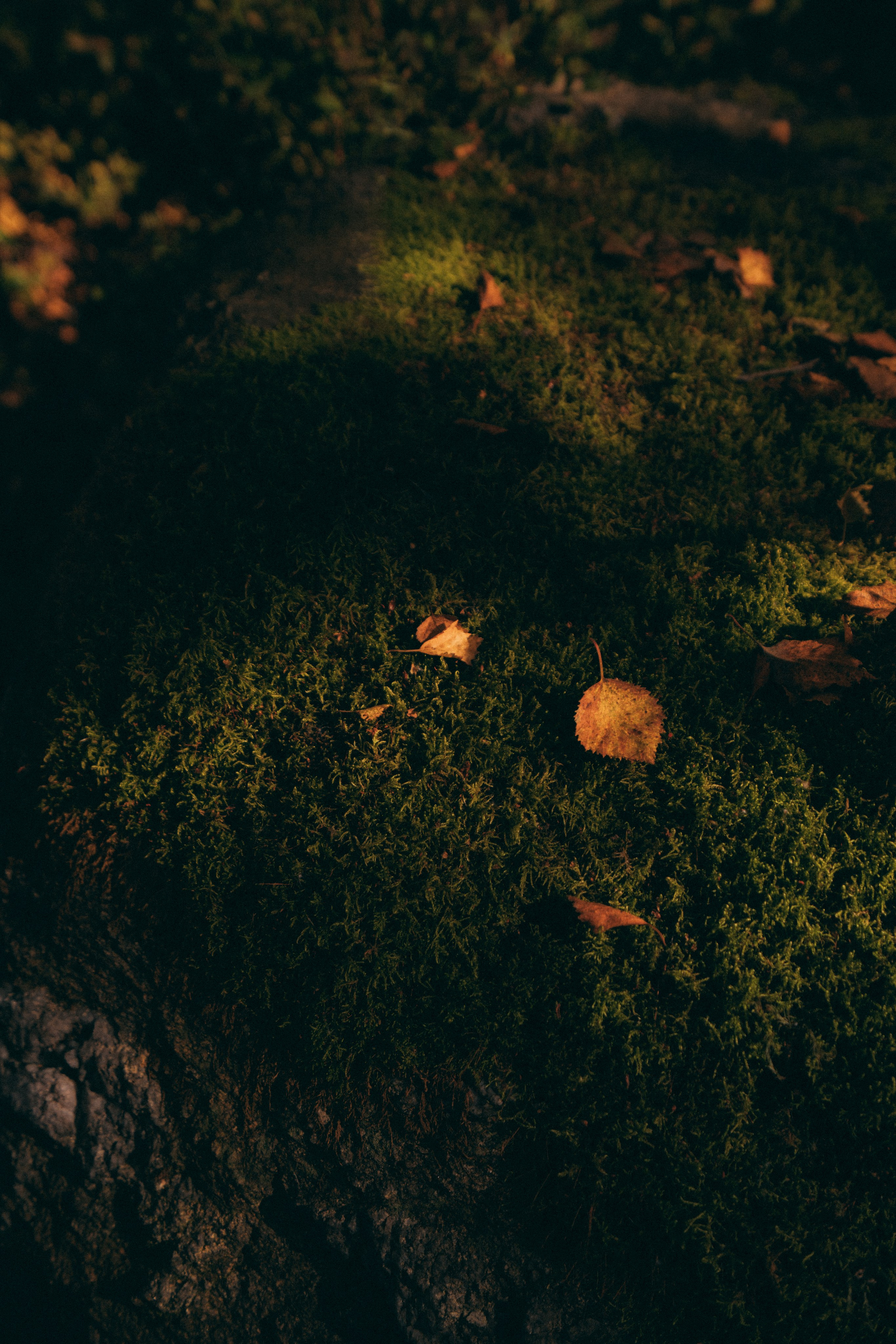 Мурманск. Фотограф Алиса Аспер