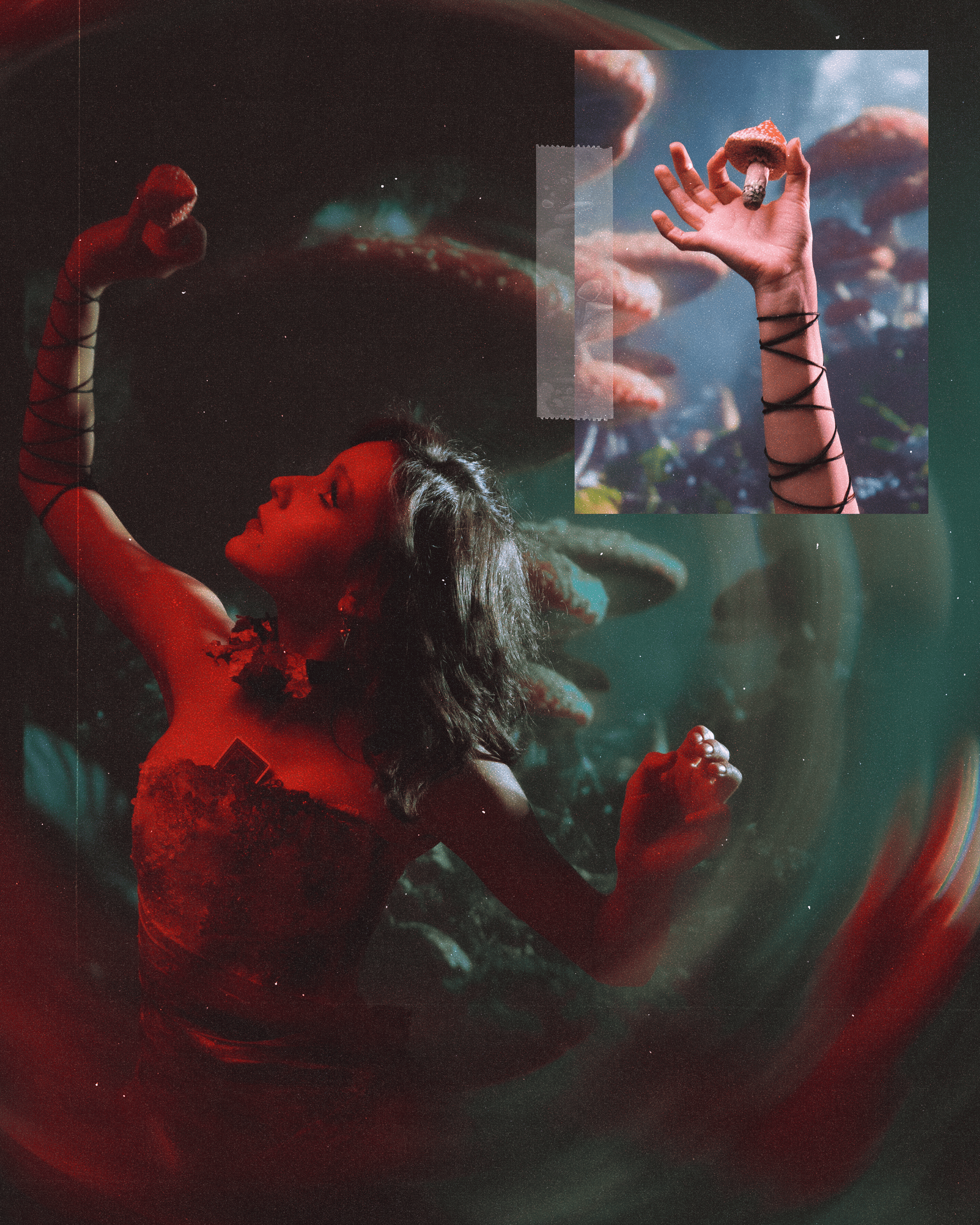 Алиса в стране чудес. Фотограф Алиса Аспер