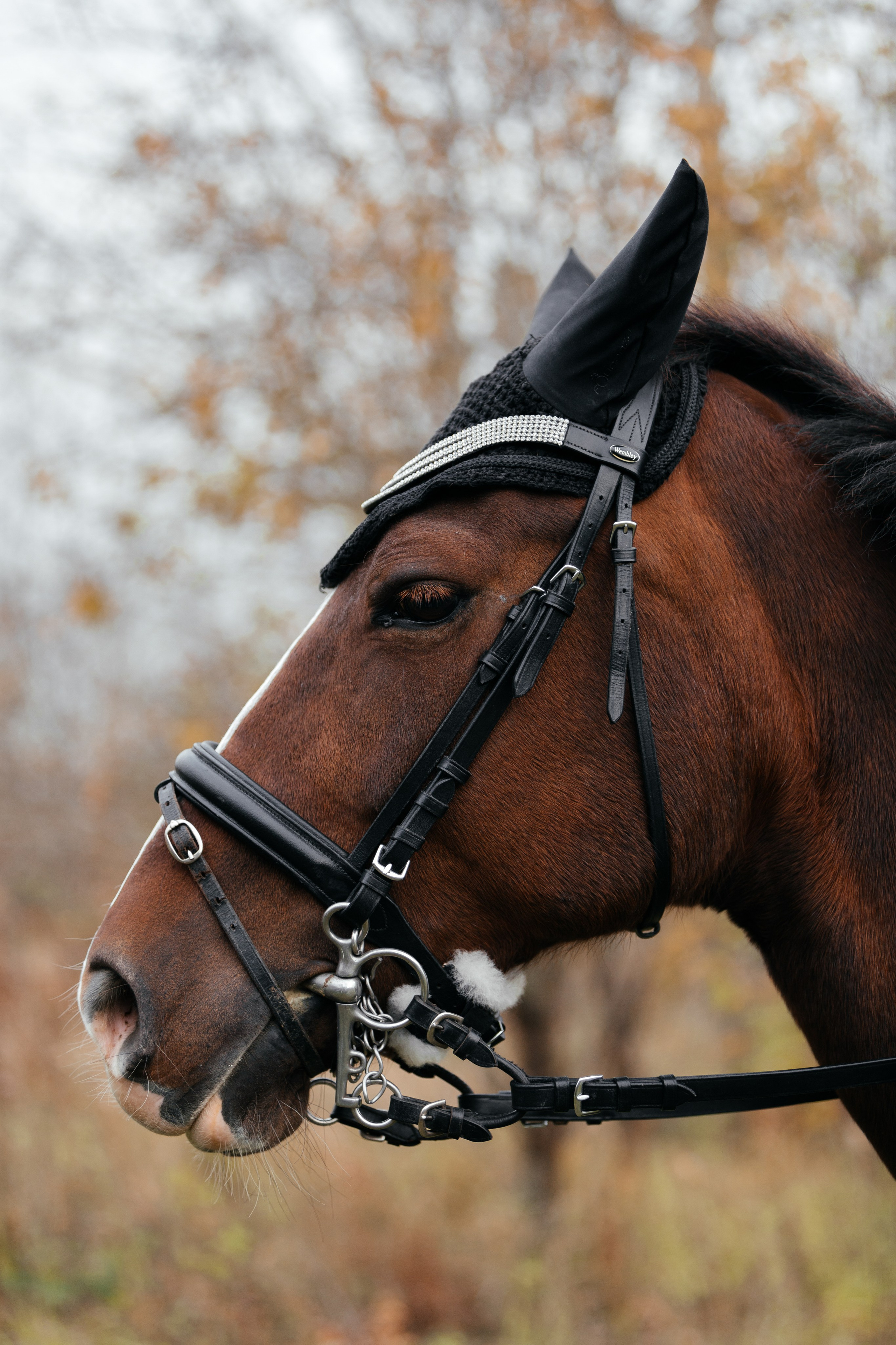 История на конюшне. Фототерапевт Ева Бунеева