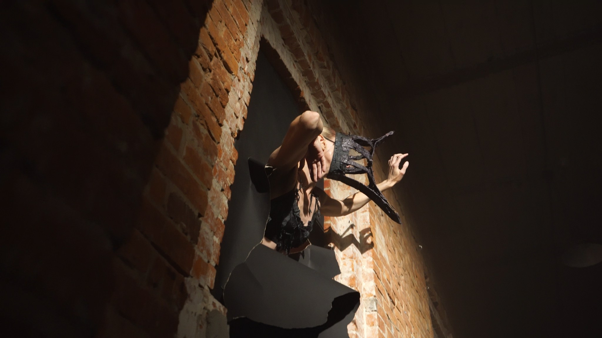 Красное дерево. Фото / Видеосъемка в Москве