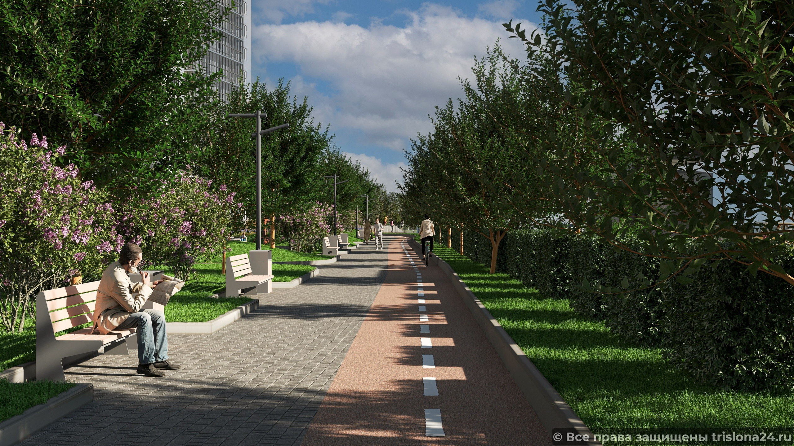 Trislona. L.I. Design Studio