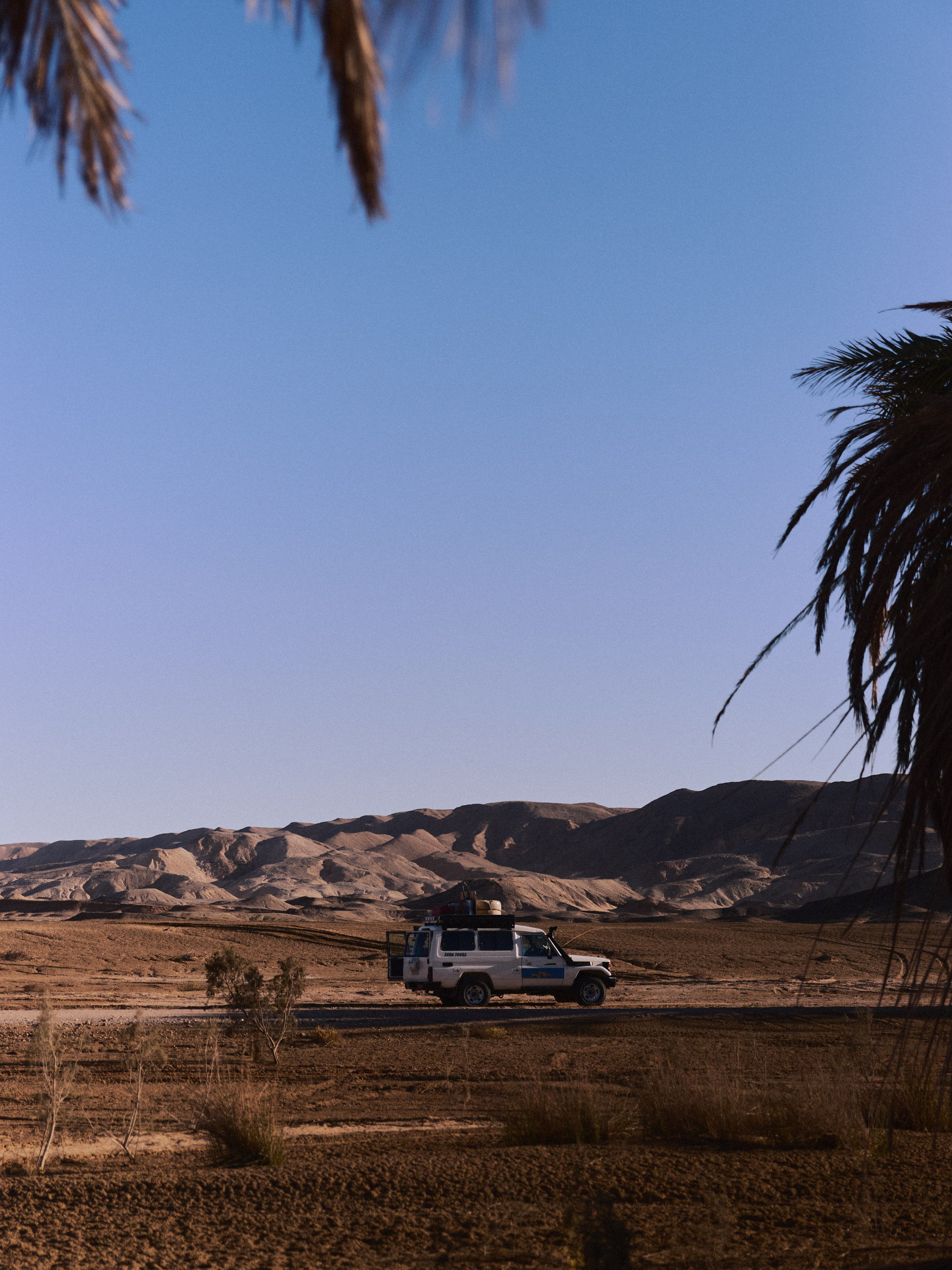 Природа сквозь. Jorgis Talè — photographer, kind person, teacher of arts and other mag