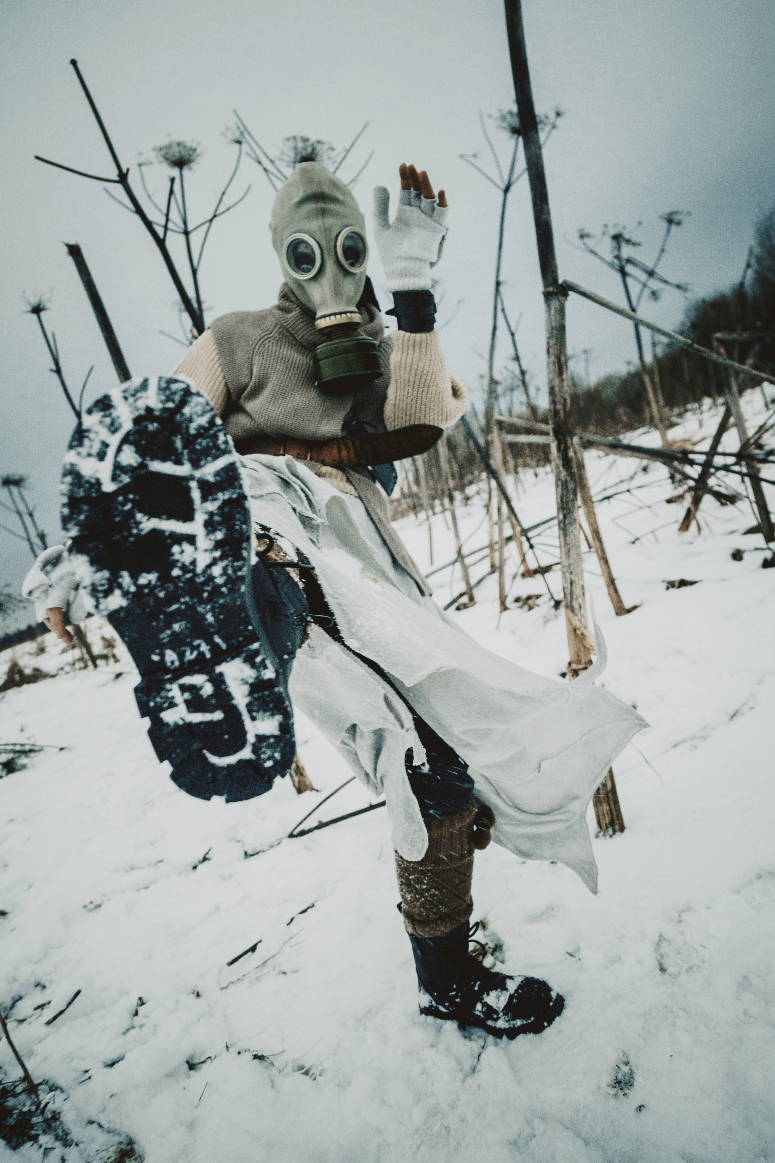 2024-11-23. Операция «Борщевик»