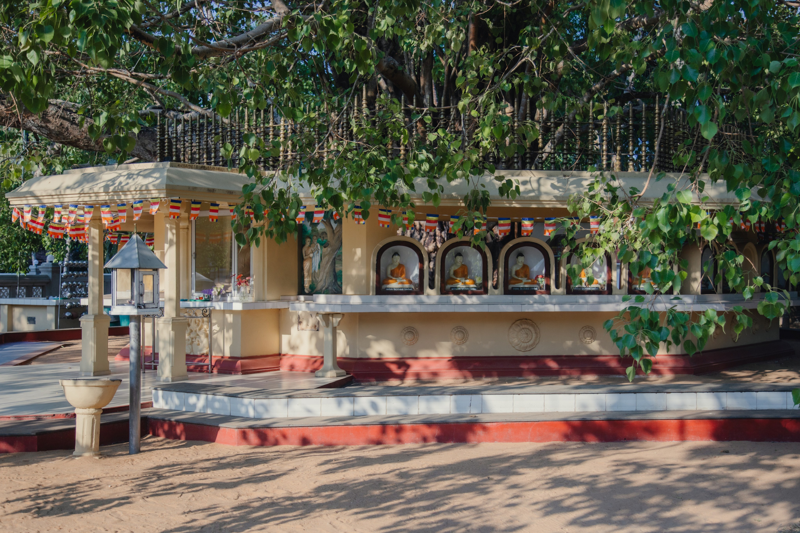 Шри-Ланка. Фотограф Юля Постнова