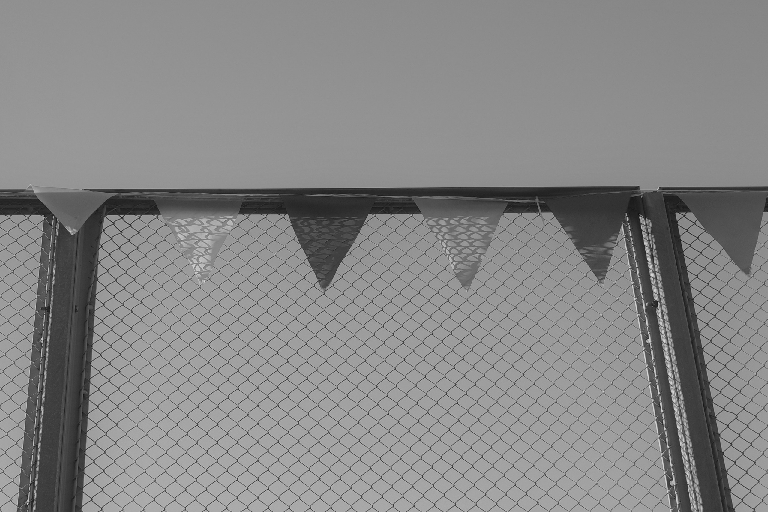 — 2025. Фотограф Злата Спицына