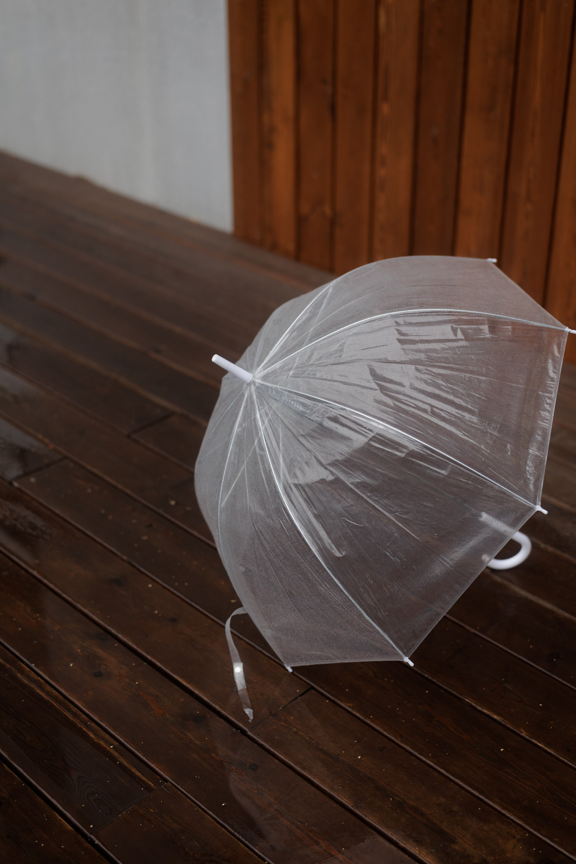 Максим и Елена. Свадебный фотограф