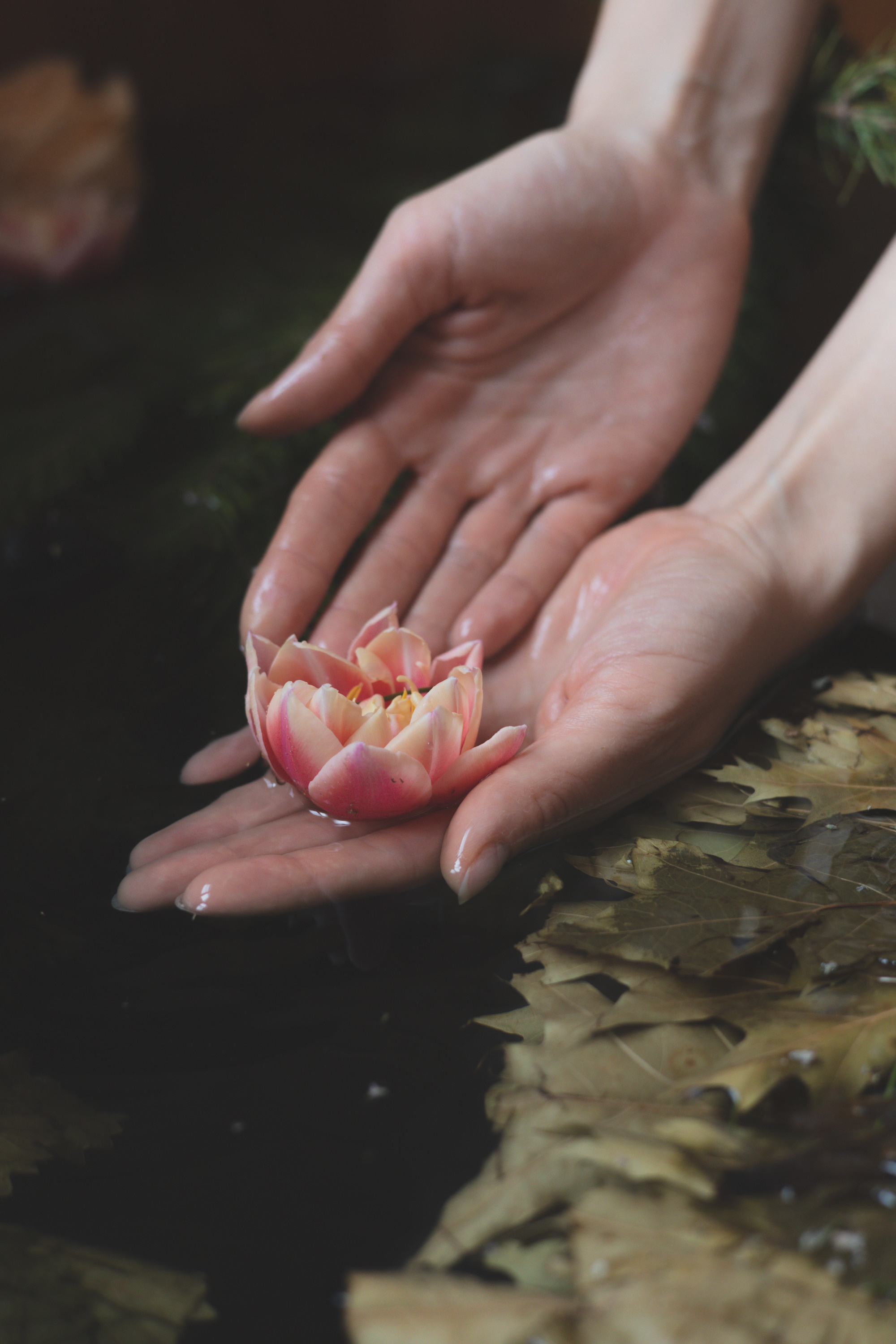 Ретрит. Женский фотограф в Москве Александра Осипова