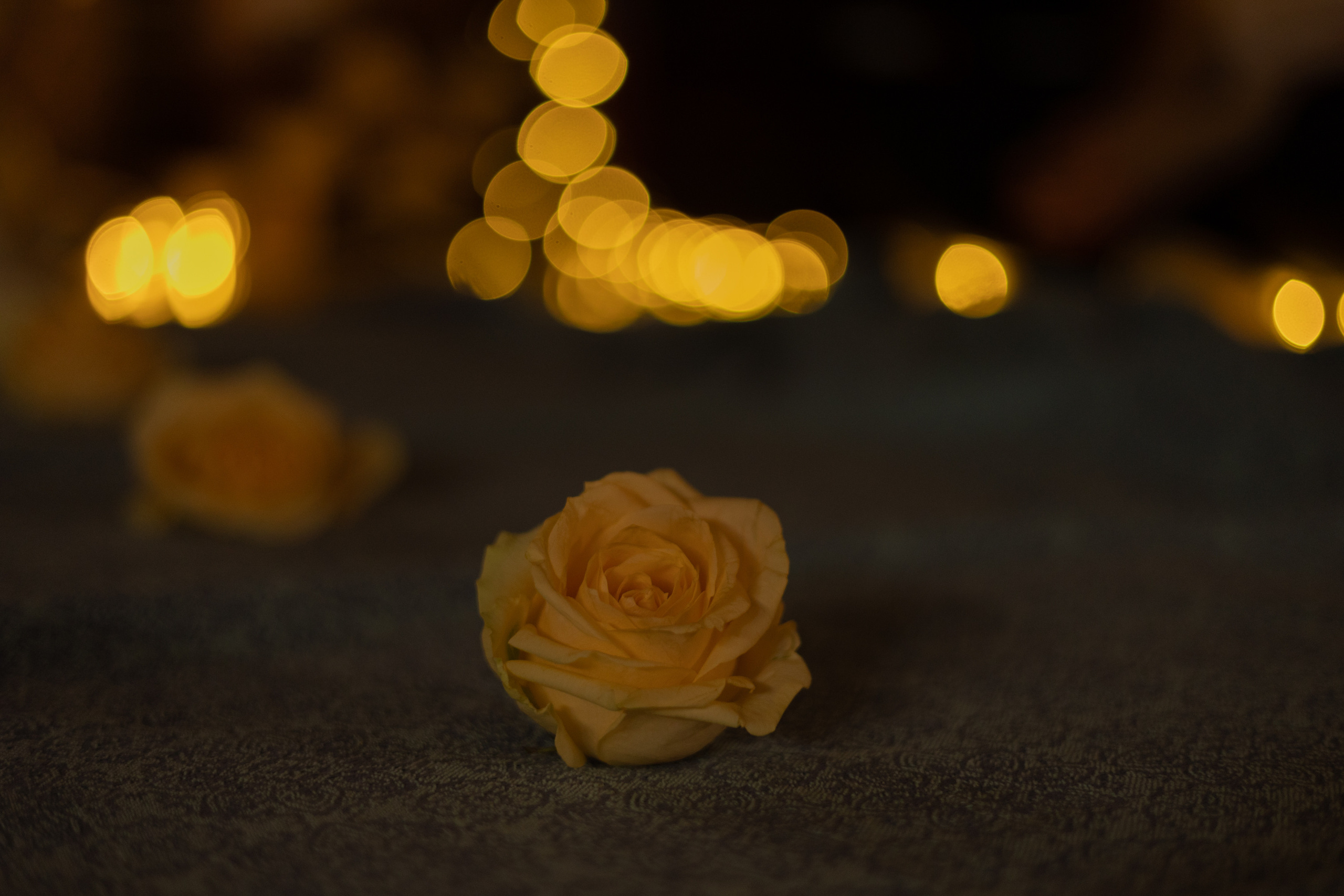 Ретрит. Женский фотограф в Москве Александра Осипова