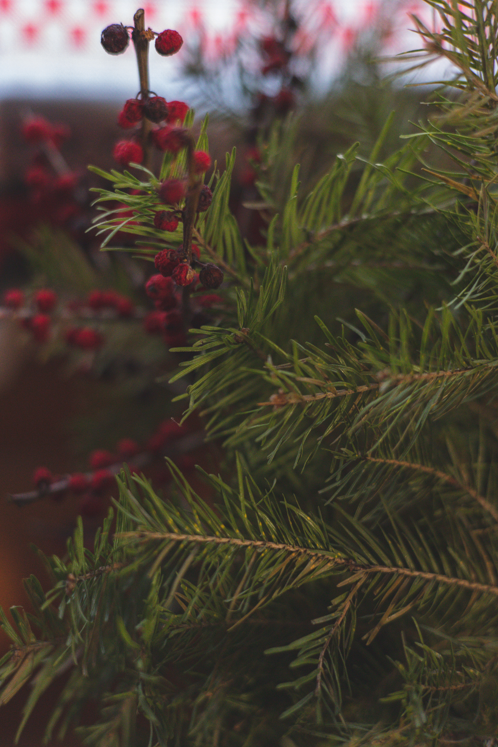 Крещенская баня. Женский фотограф в Москве Александра Осипова