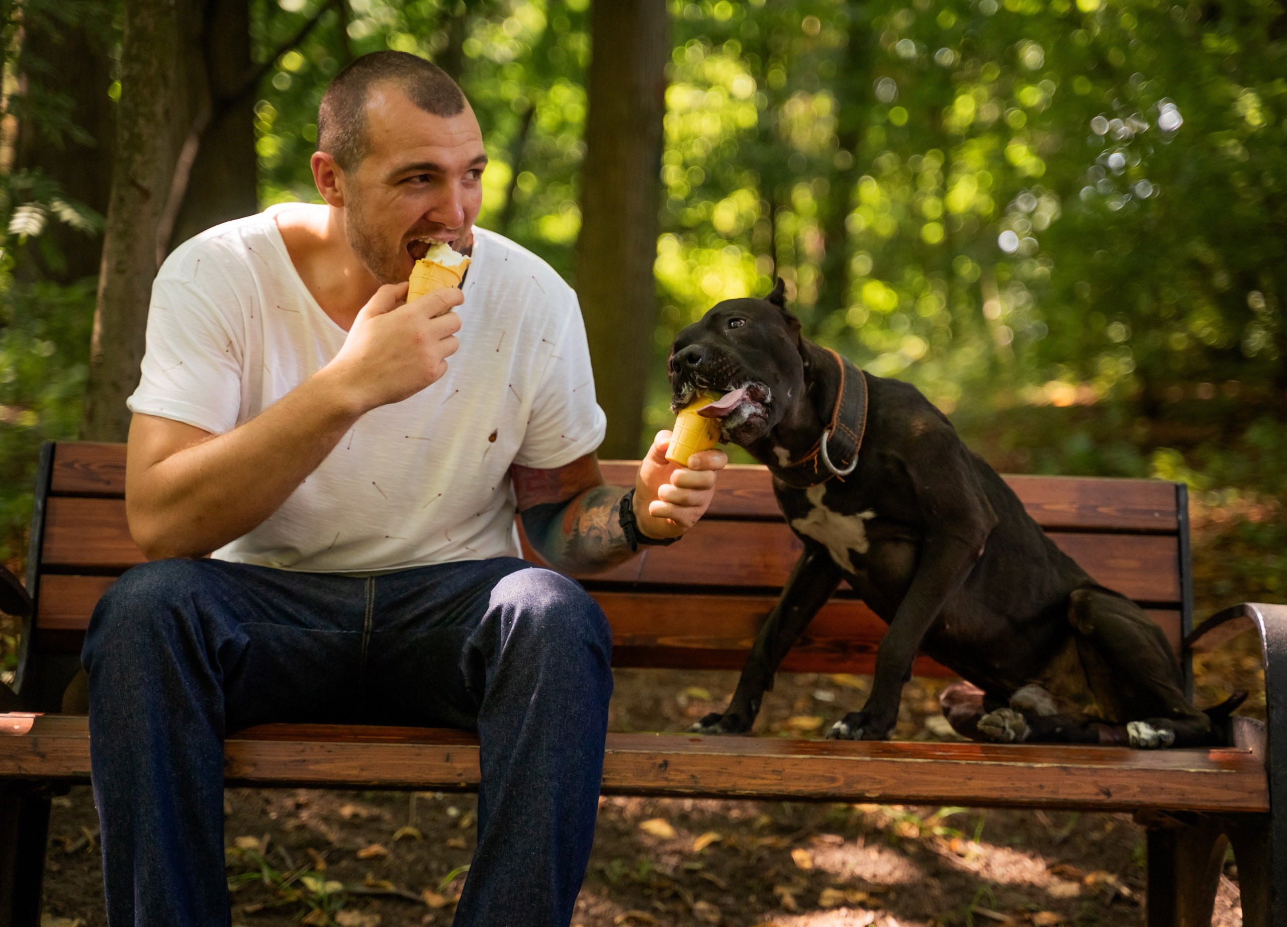 Portrait. Life in Focus