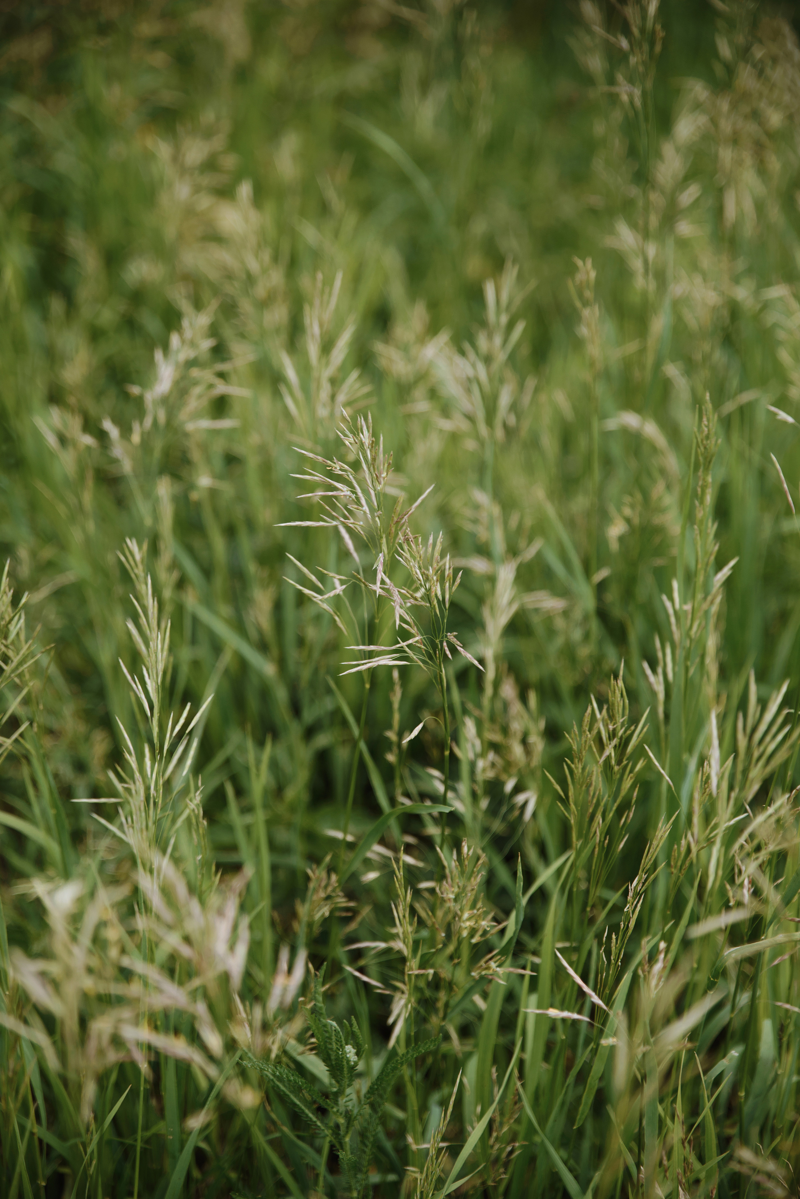В ожидании- Ляйсан и Марсель. Свадебная и семейная фото-видеосъемка в Уфе, Москве