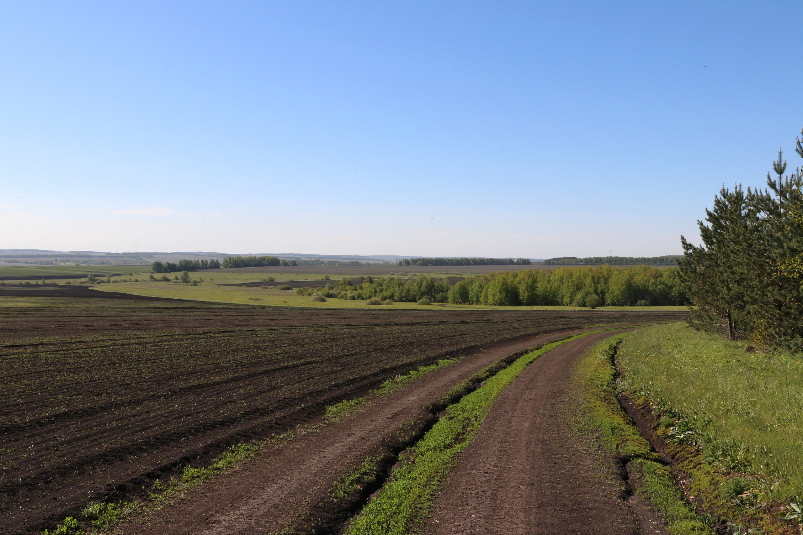 Велопоход Уфа — Мелеуз. Май 2024. Путешественник-фотограф из Санкт-Петербурга Татьяна Свистулина