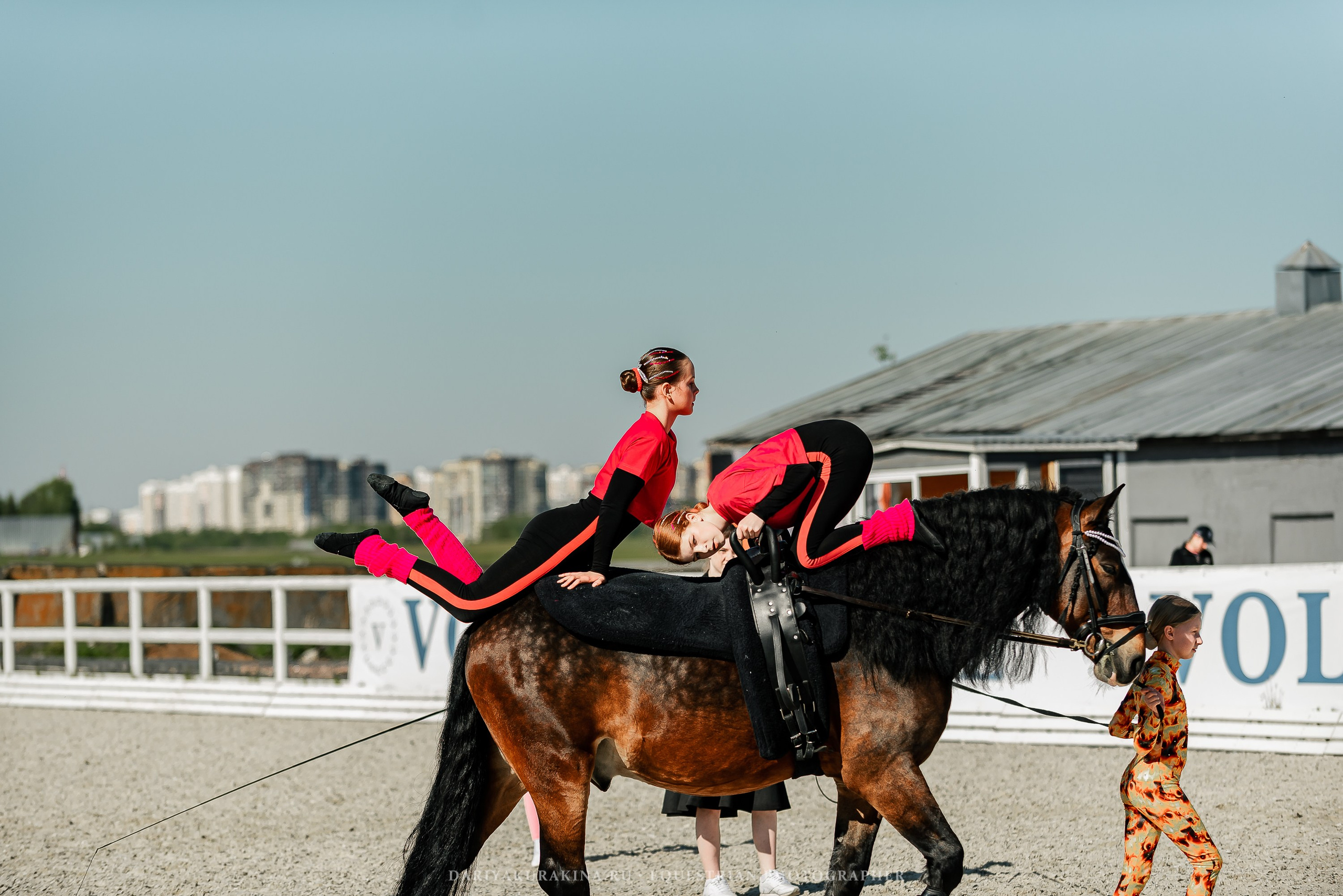 РЕПОРТАЖ МКК ВОЛЬТ «LA TULIPS». Конный фотограф Куракина Дарья • Фотосессии с лошадьми
