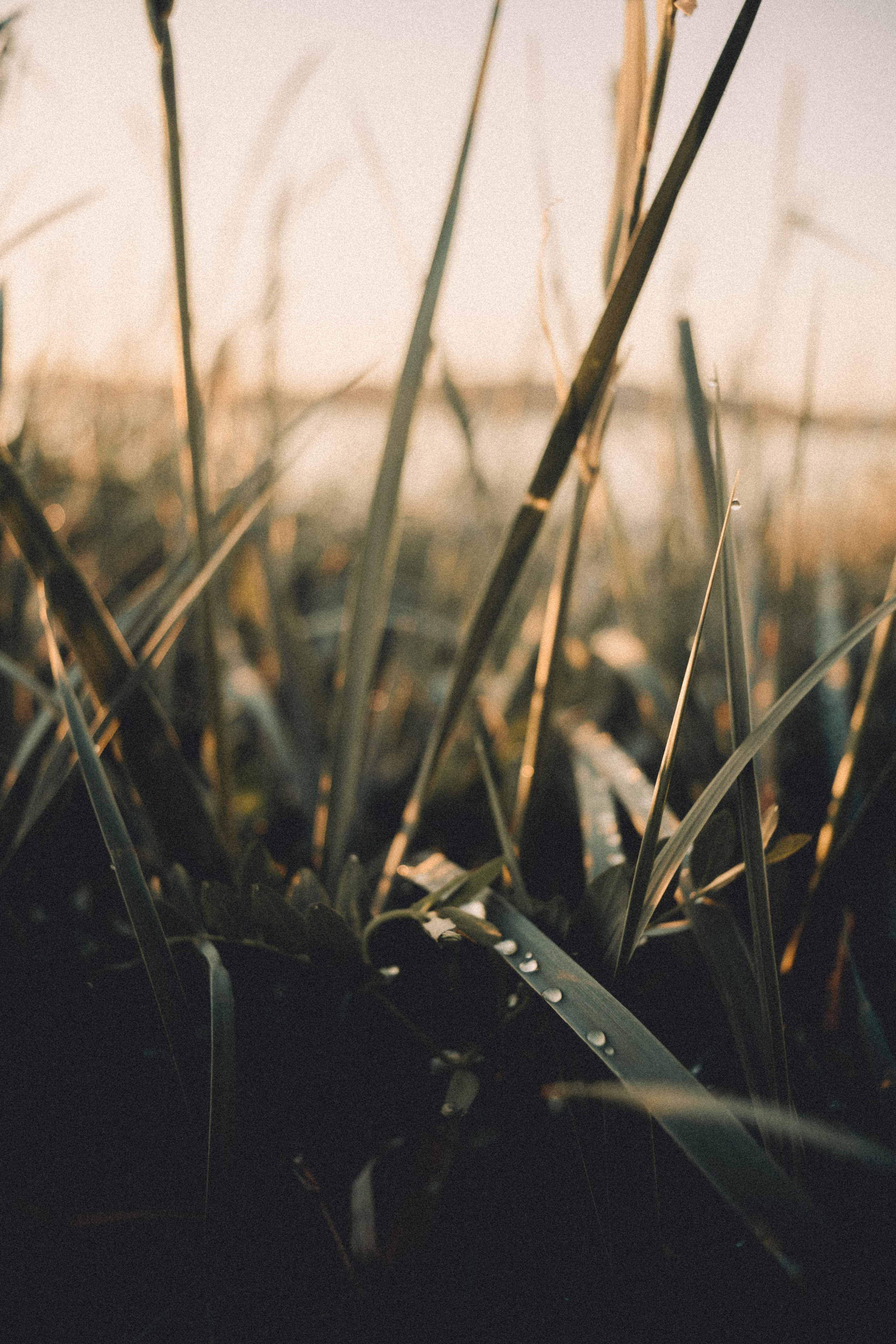 Териберка, Мурманск. Фотосъёмка для компании по организации туров в коллаборации с Яндекс 360