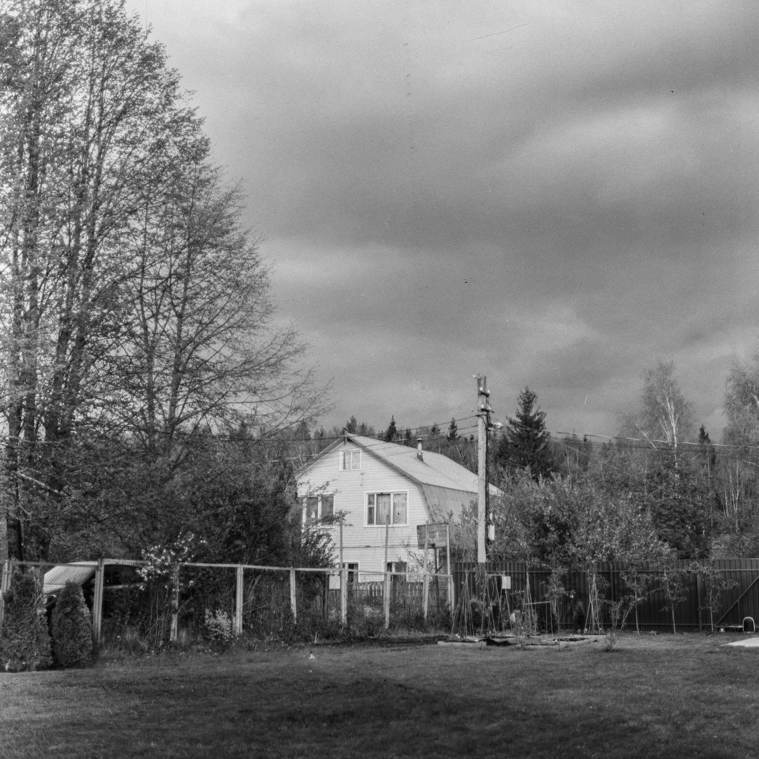 Zanza Bronica S2A — Nikkor-P 75 mm f2.8 | Shanghai P3 100 | Давыдовское 17 мая 2025 года