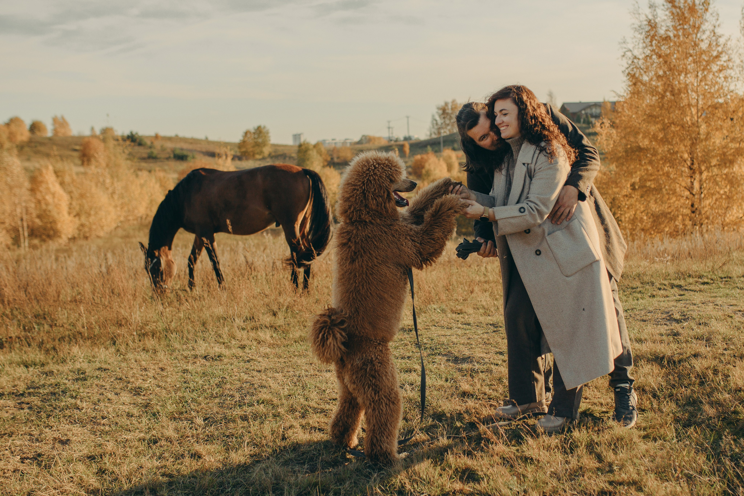 Наши пушистые дети. Главная