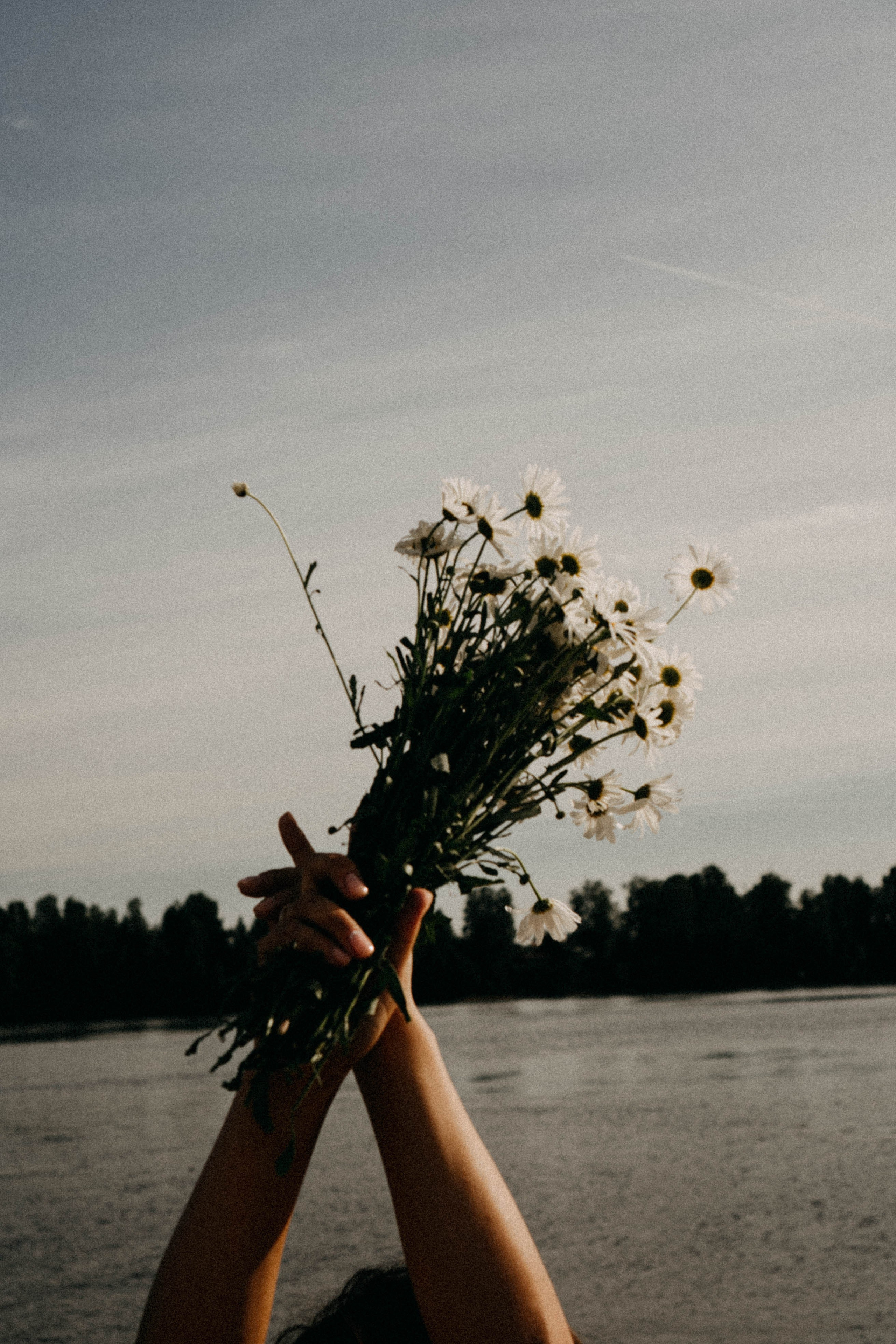Летняя прогулка. Профессиональный фотограф, Санкт-Петербург — Виктория Богомолова