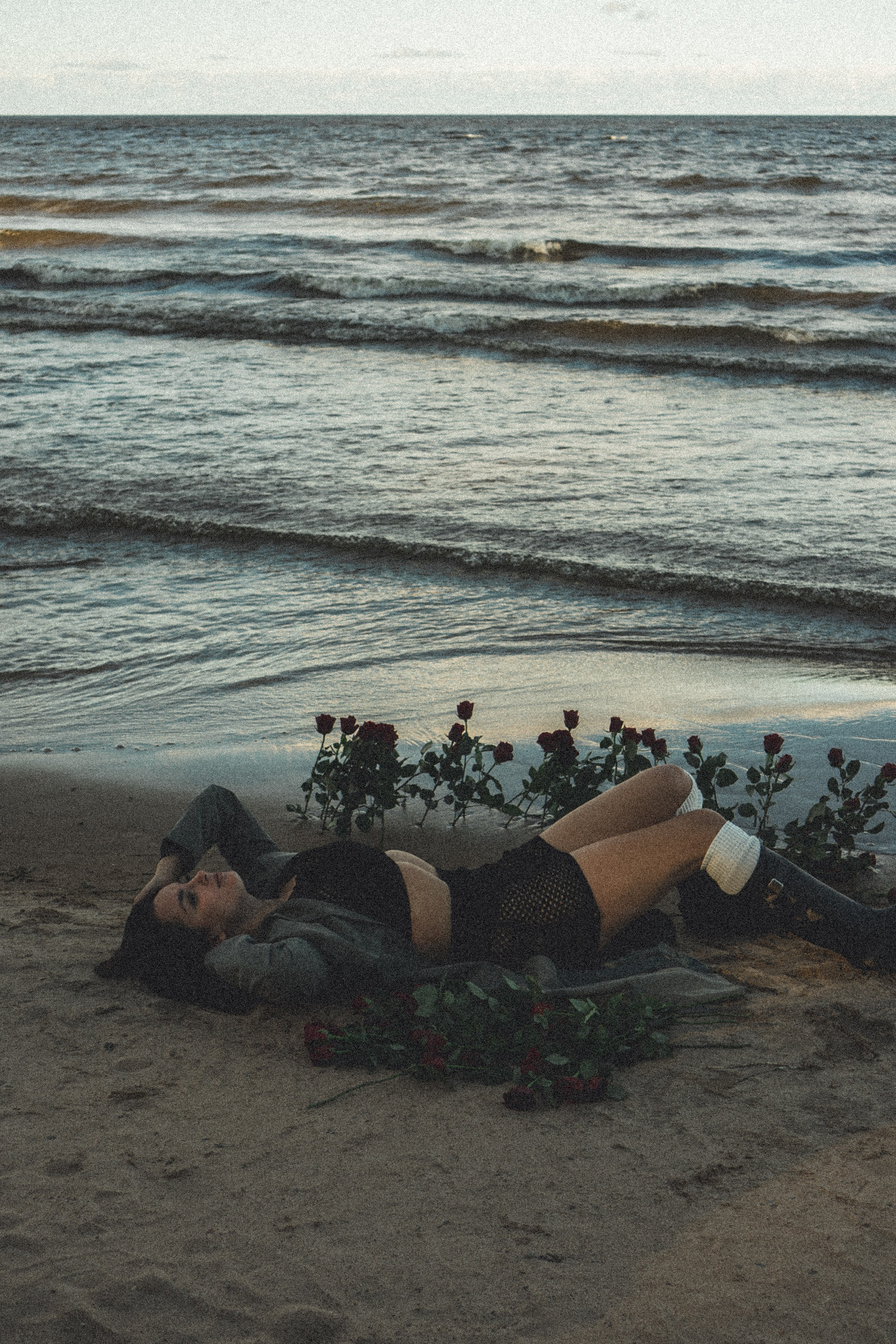 Розы. Профессиональный фотограф, Санкт-Петербург — Виктория Богомолова