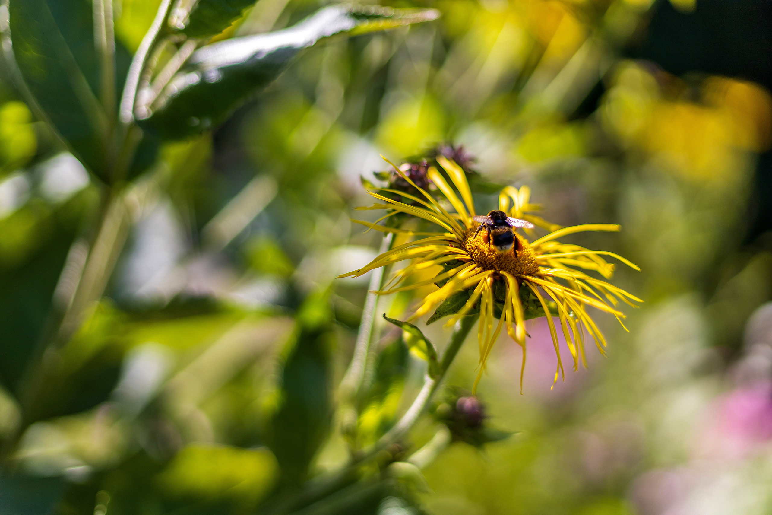 Свадьбы ч.2. Свадебный, семейный и детский фотограф в Калининграде Елена Кравцова