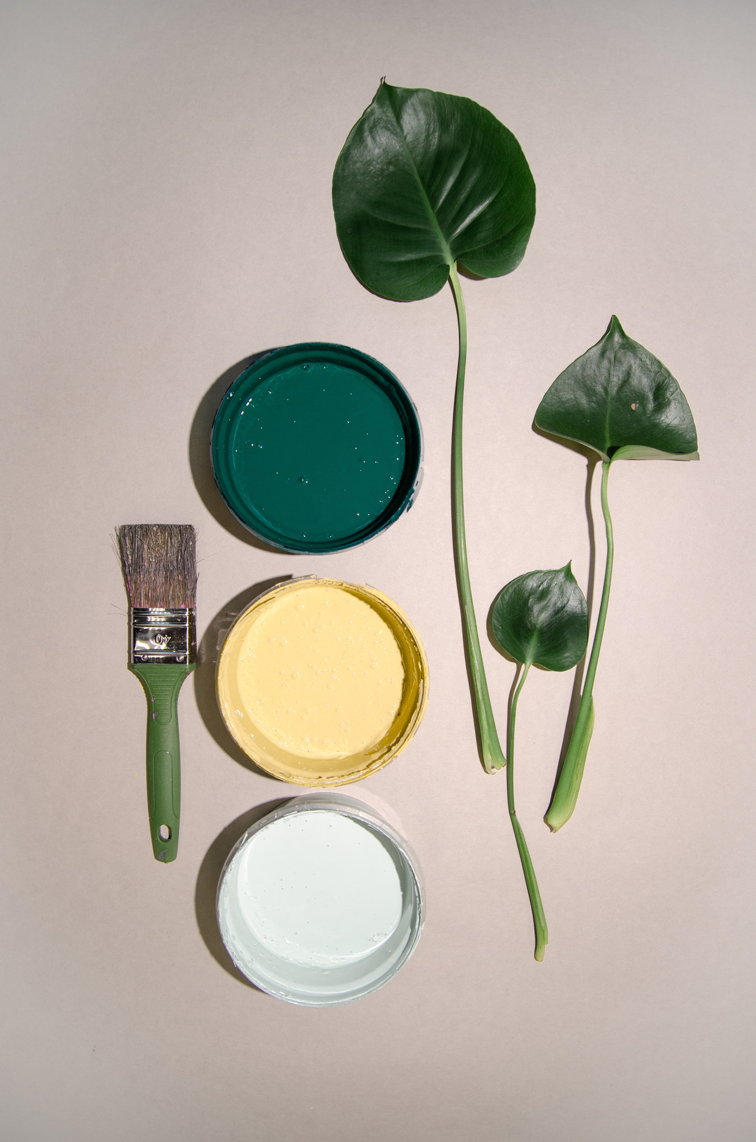 Предметная фотография. Пилот, фотограф и оператор Баркалова Светлана