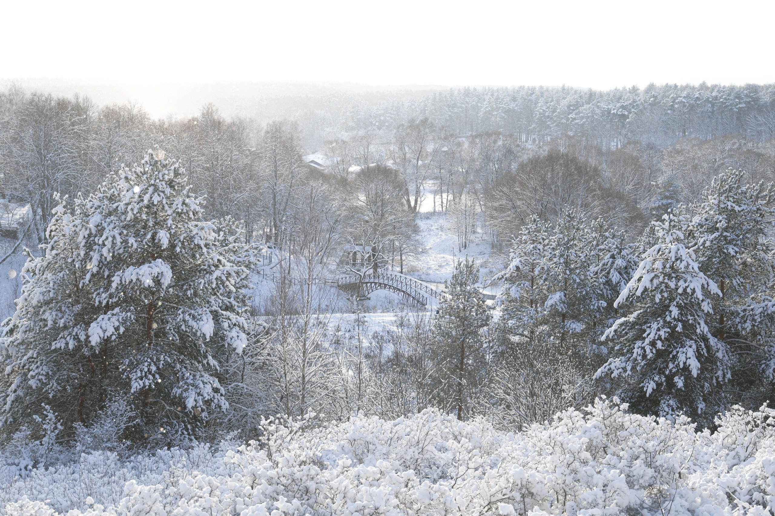Рождествено Зима 2026. Фотограф Максим Татаринов