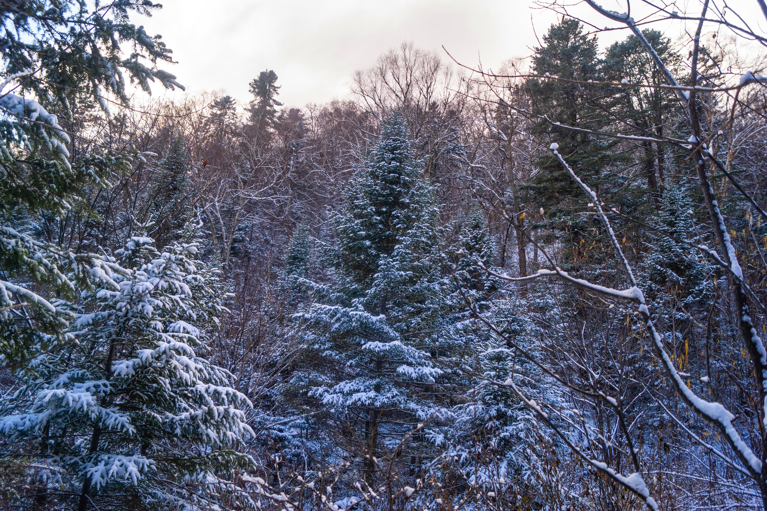 Природа Хабаровского края. Команда фотографов Кристины Ивановой