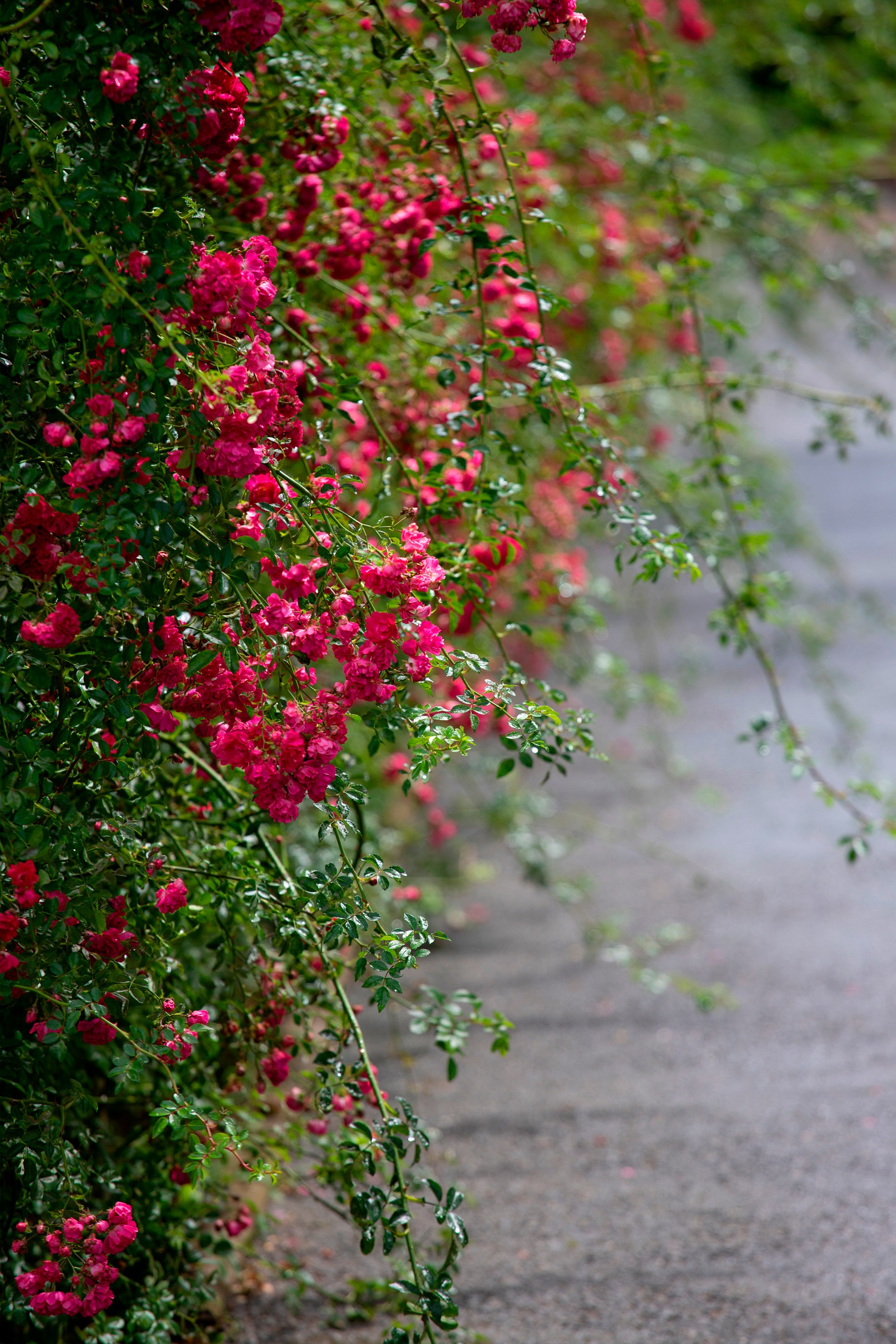 Природа. Команда фотографов Кристины Ивановой