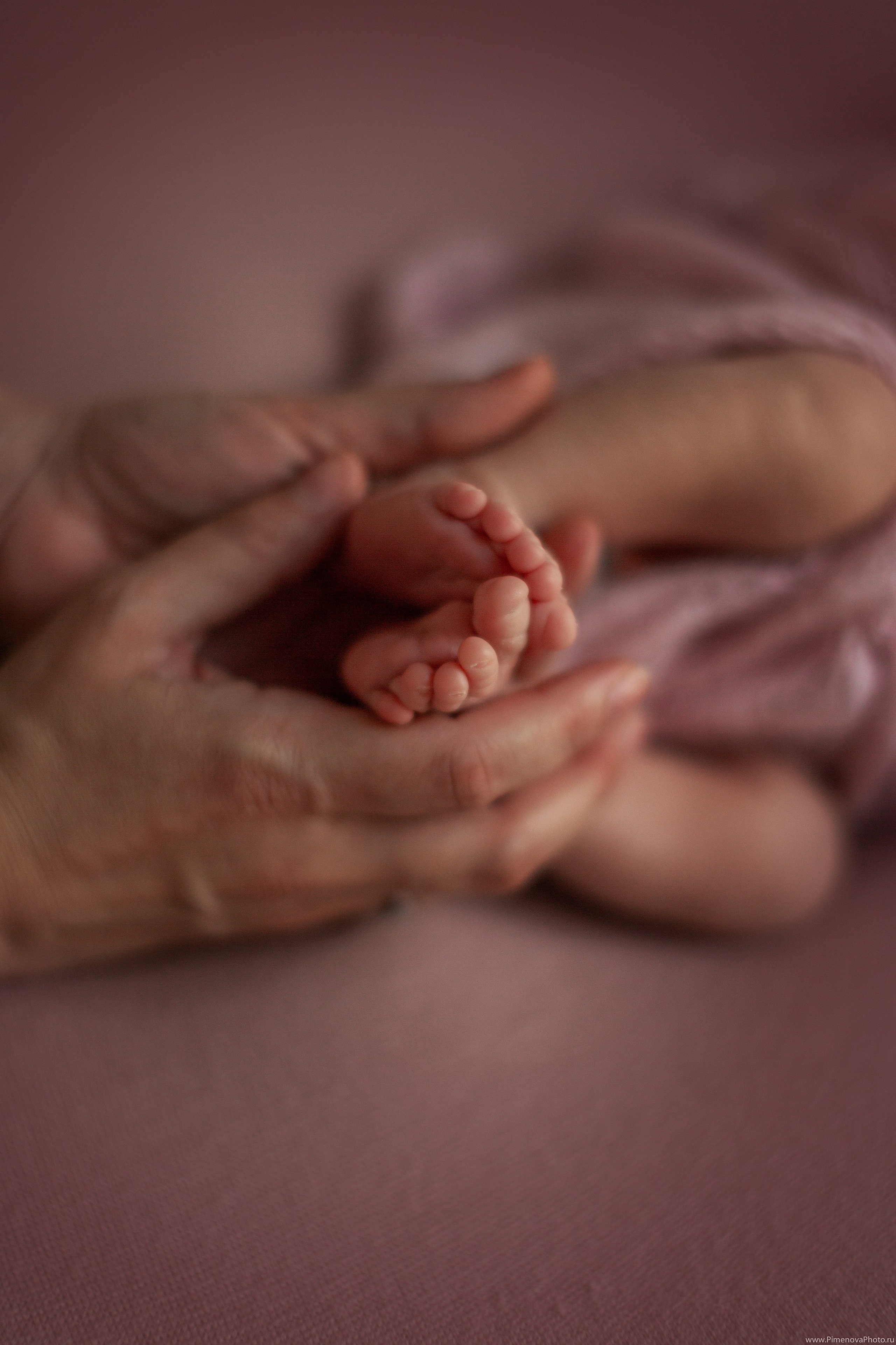 Истории. Семейный и детский фотограф в Петрозаводске
