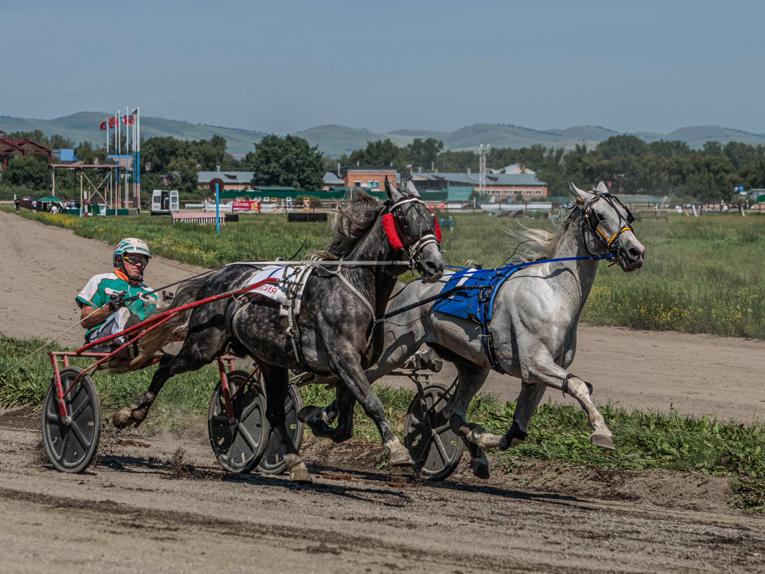 Зарисовки Абаканский ипподром 2025. Конный фотограф в Красноярске — Любовь Похабова