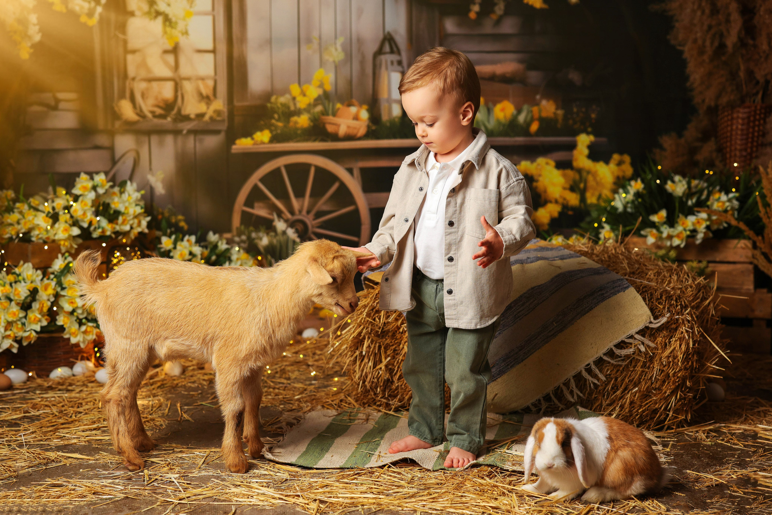 ДЕТСКИЕ ПРОЕКТЫ