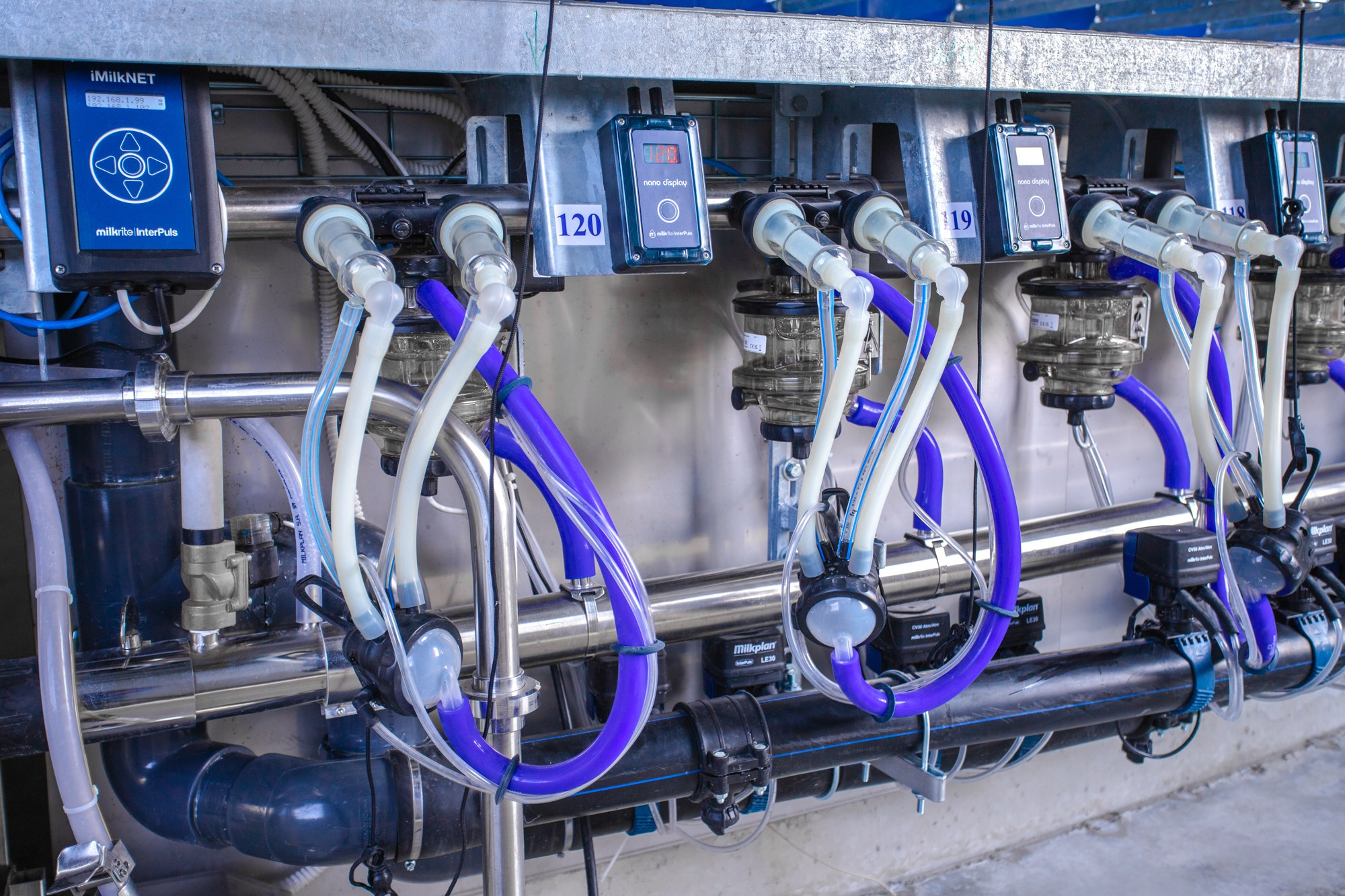 Открытие карусели для дойки скота. Репортажный, промышленный и маркетплейс-фотограф Дмитрий Чернат