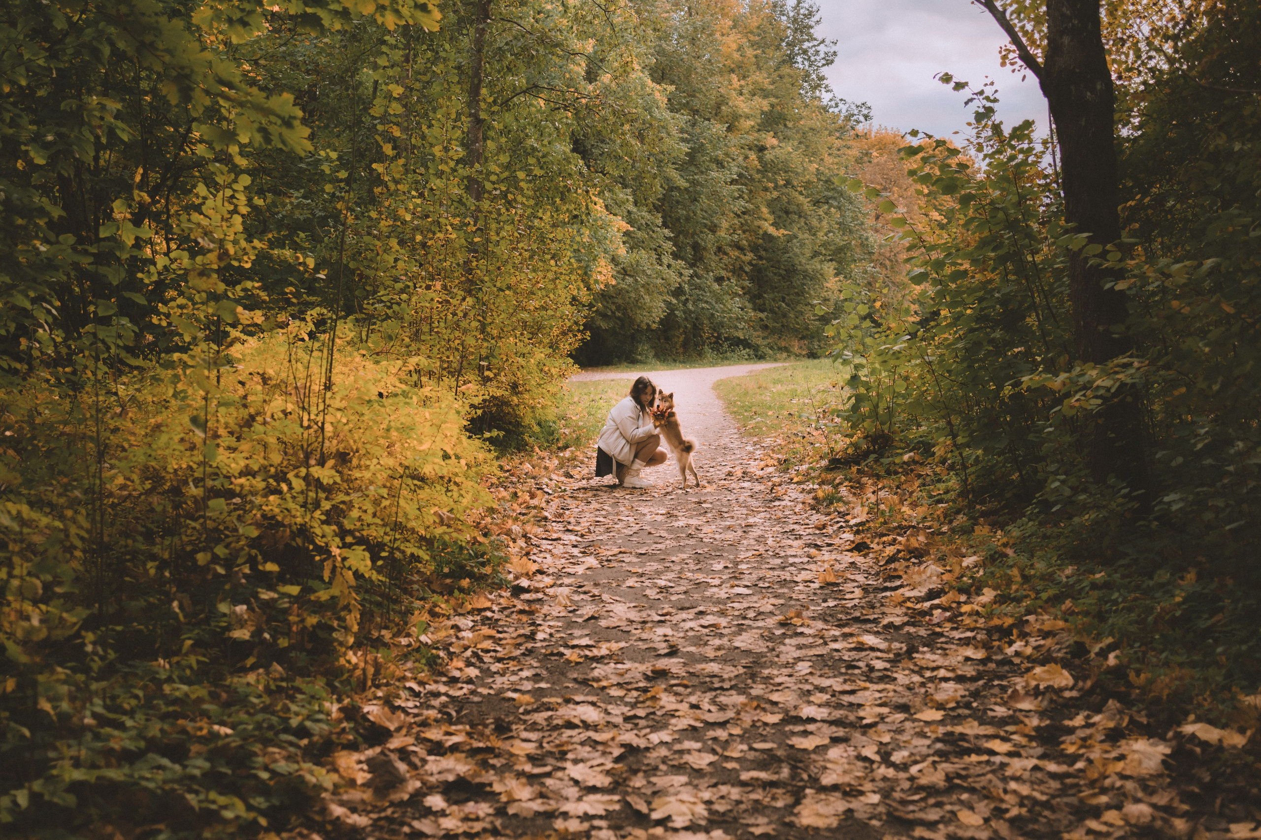 Фотосессия с собакой в осеннем Дудергофе. Семейный и детский фотограф в Санкт-Петербурге Павлова Елена