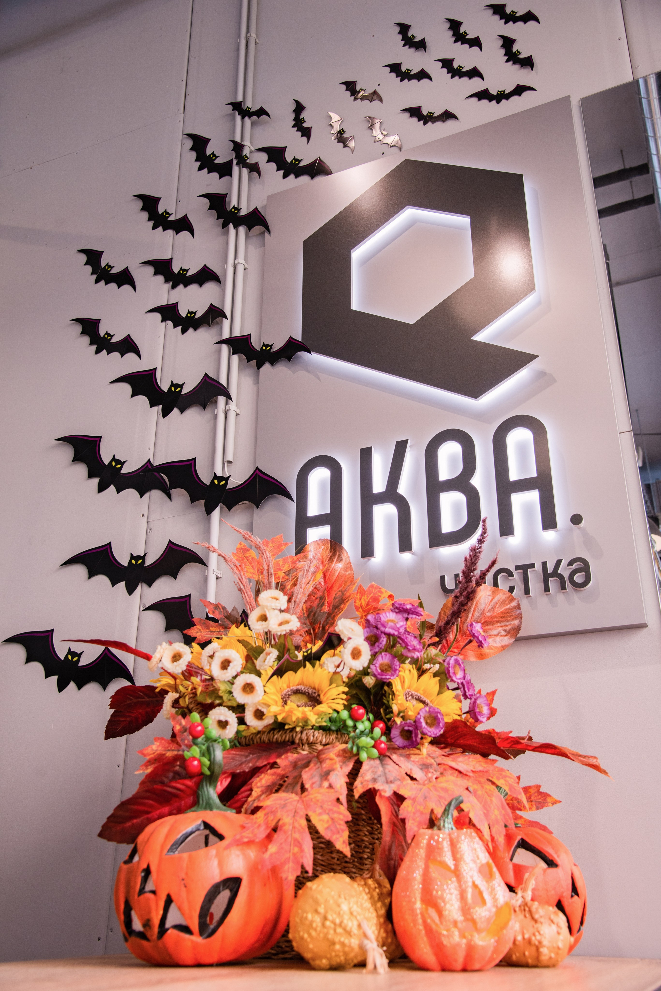 Контент для химчистки. Фотограф в Санкт-Петербурге Ковалева Елизавета