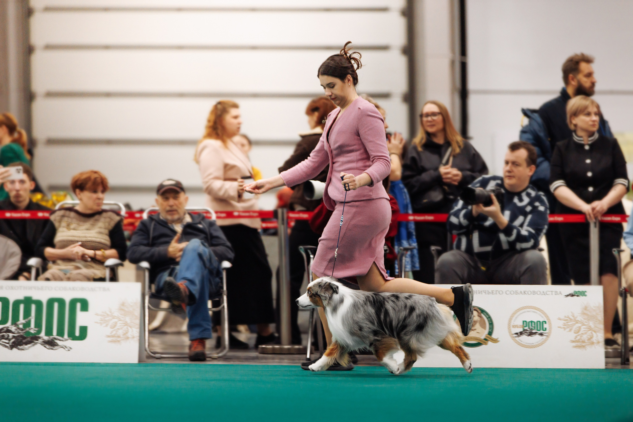 29-30.11.2025 — Казань «Зилант». Фотограф-анималист Саша Вязьмина