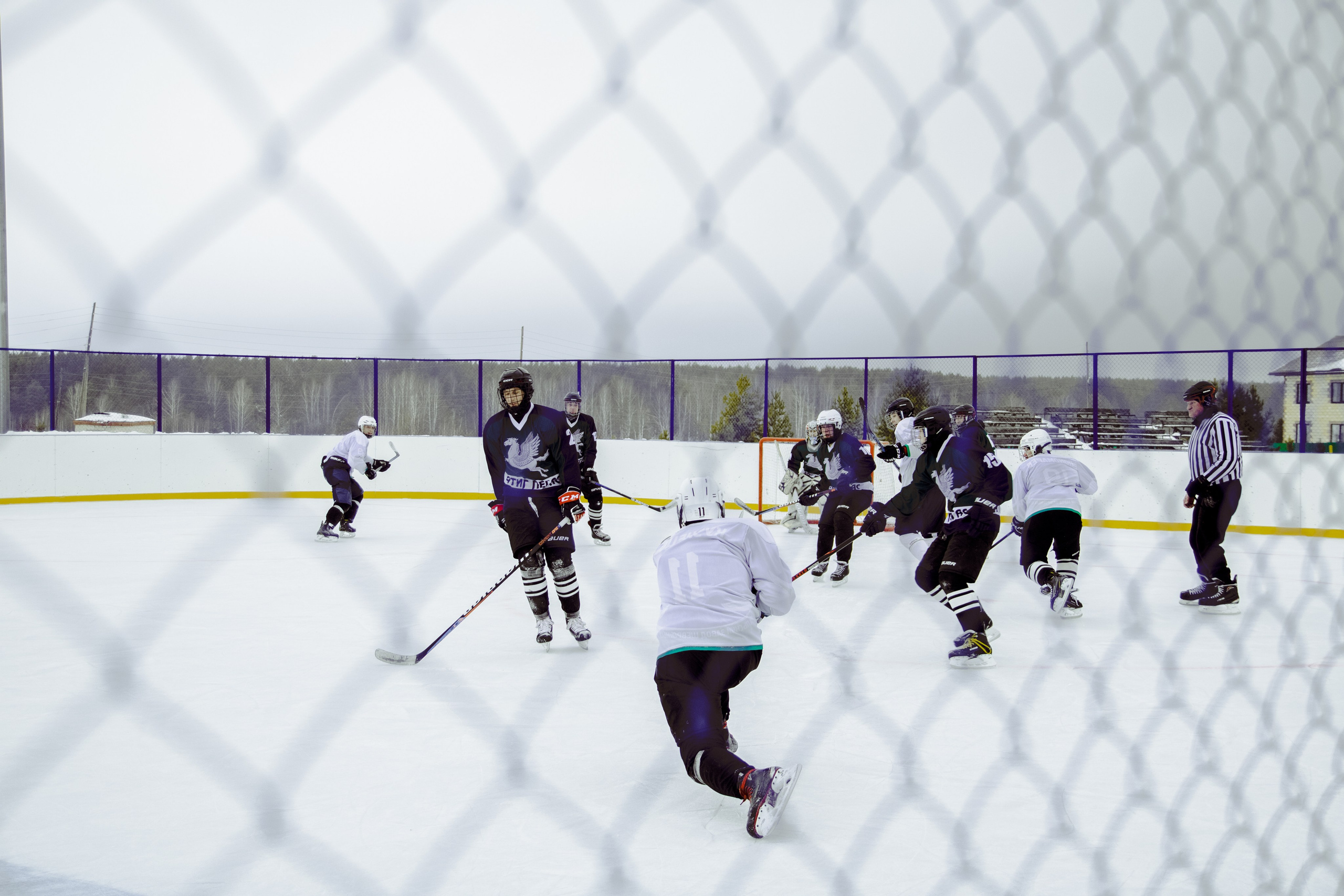 Хоккей 29.12.2024