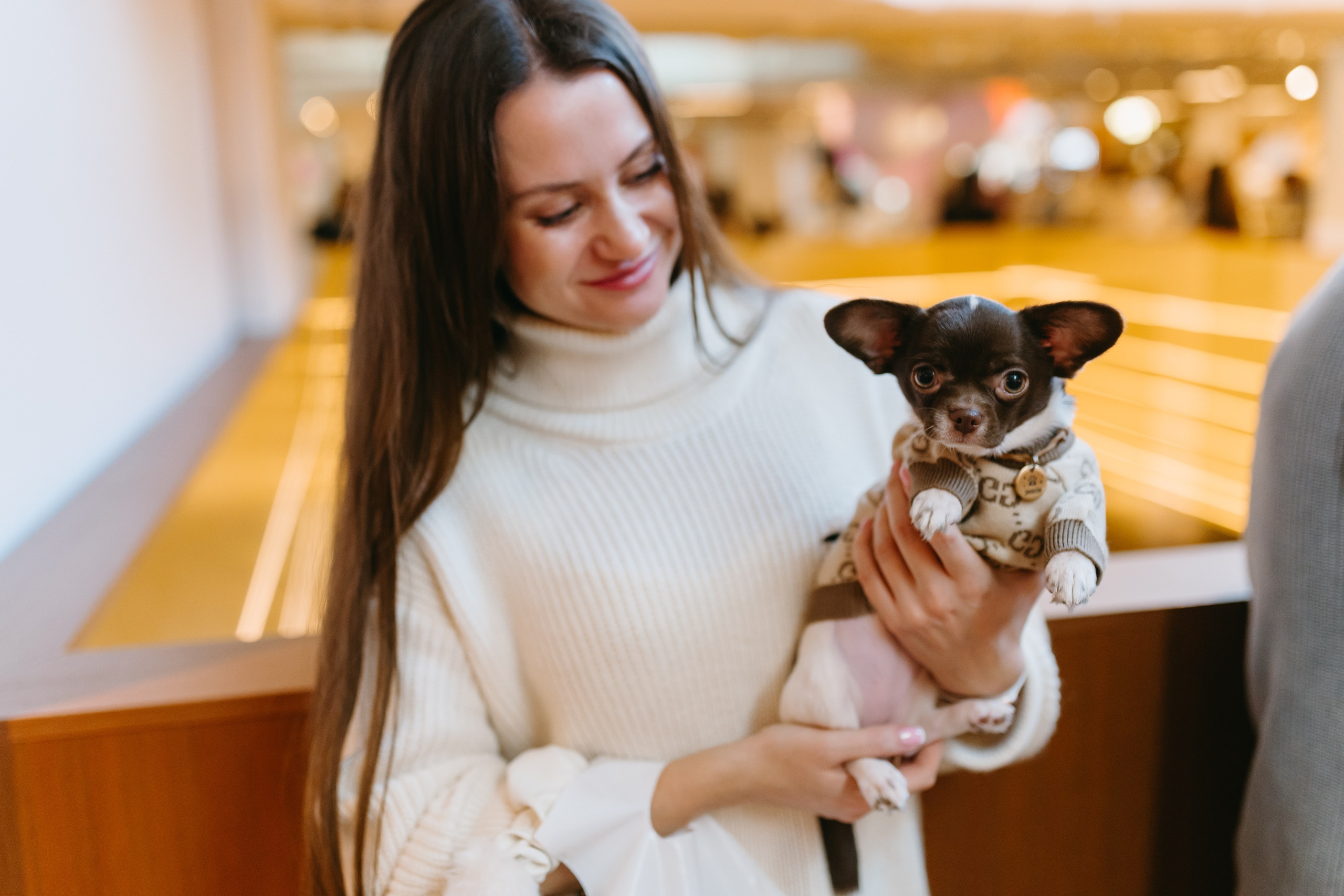Frisky Dog Day. Фотограф Ирина Авдеева