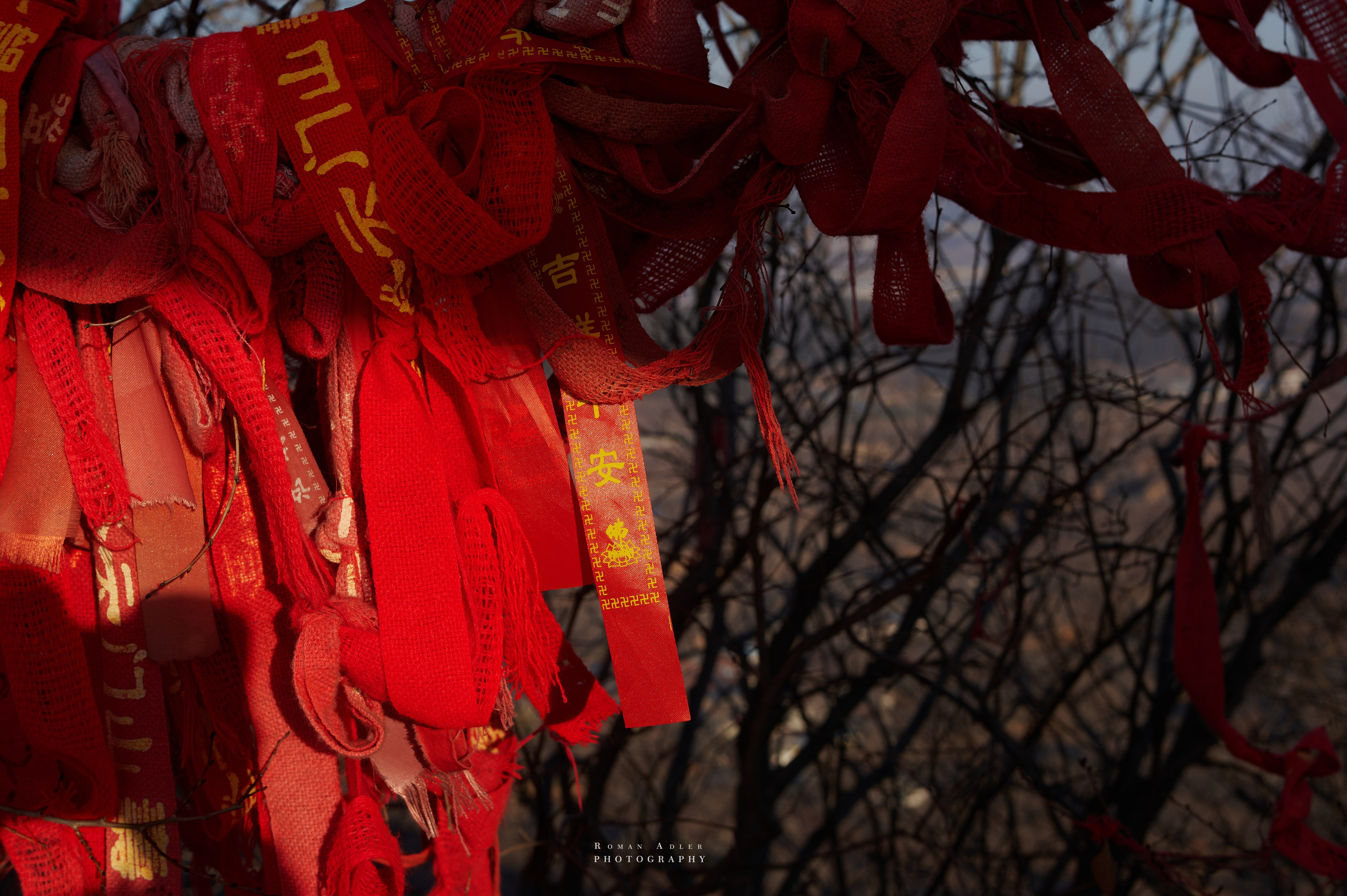 Рассвет на храмовой горе Юнмень. Цинчжоу. Фотограф Роман Адлер