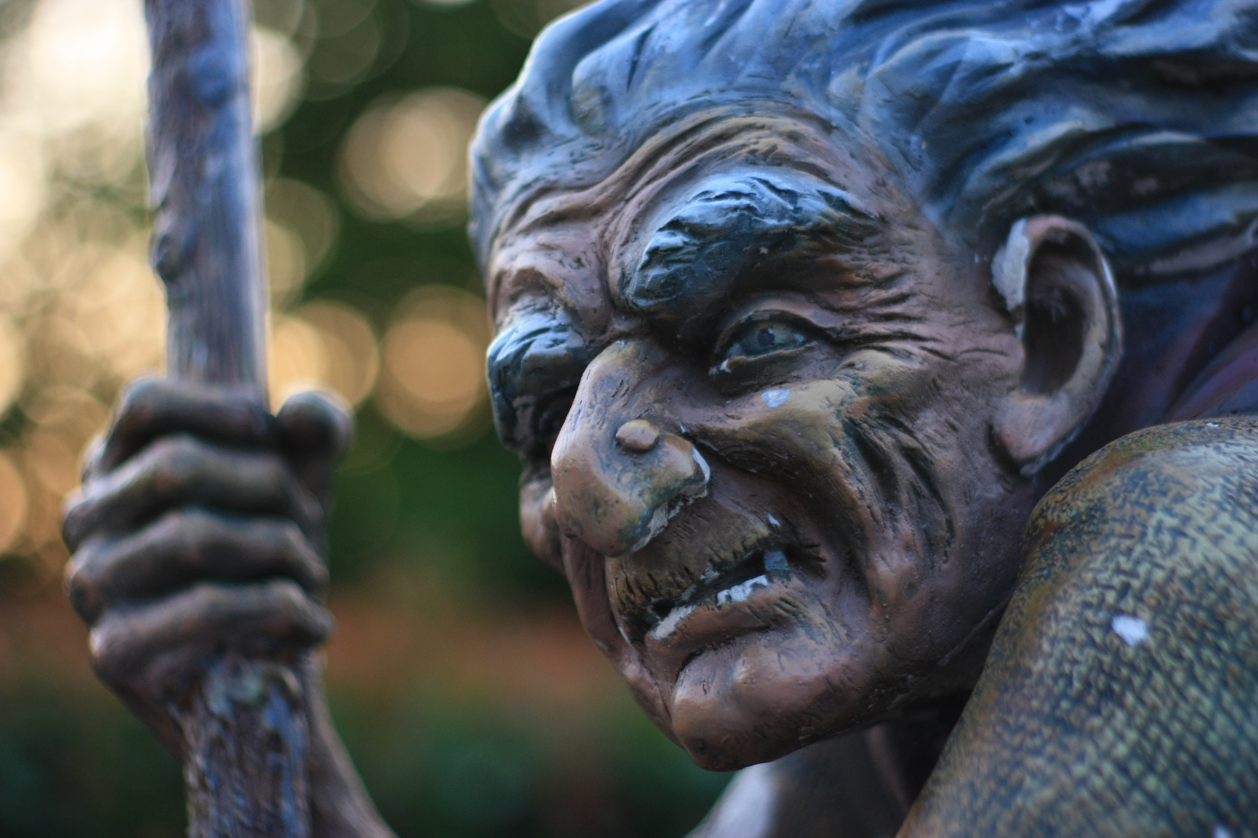 Первые кадры. Сочи — парк. Фотограф Роман Адлер