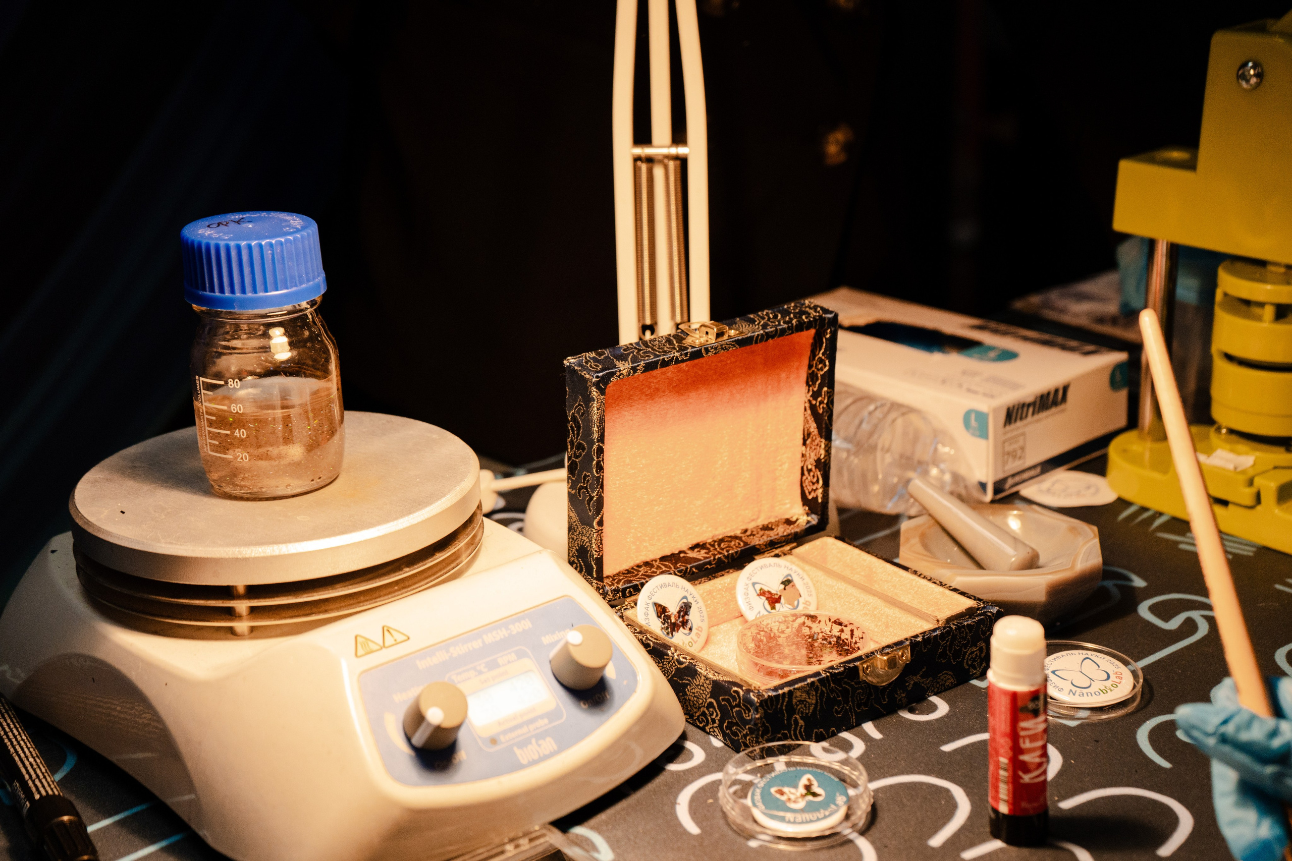 Международный фестиваль Наука 0+ (2025 г.). Фотограф в Москве Лиза Архипова