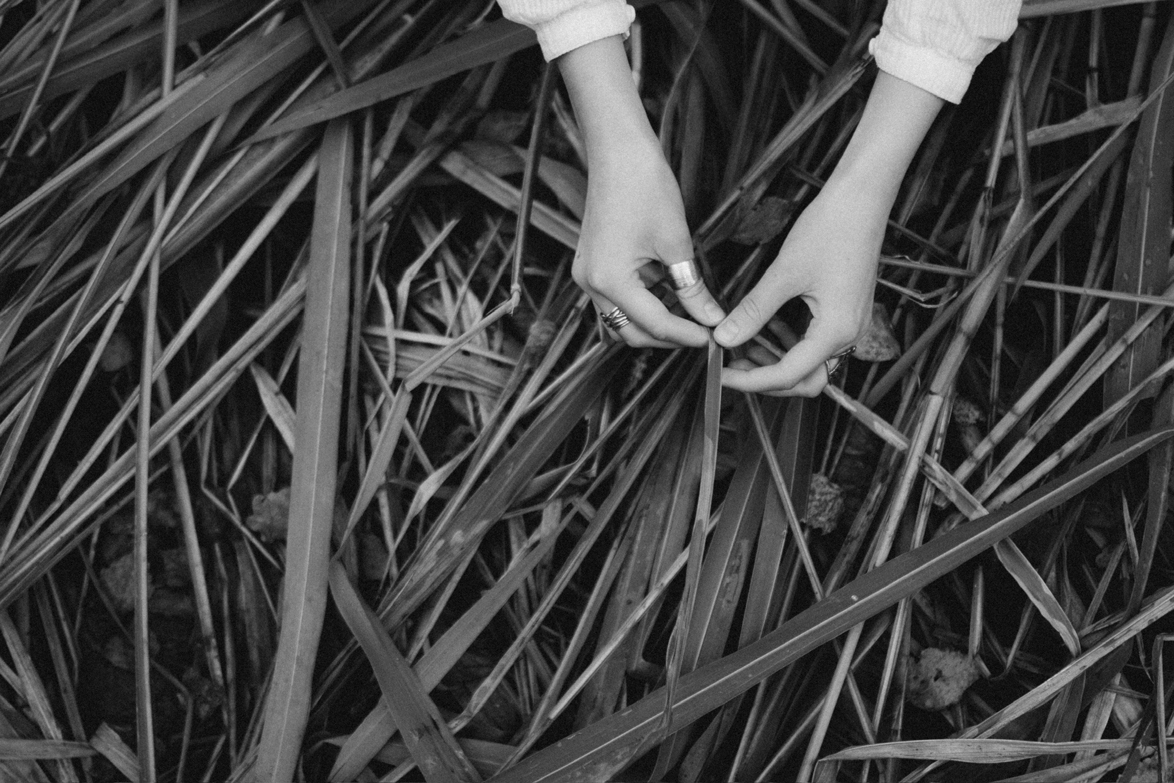 Александра. Фотограф Москва Селюкова Юлия