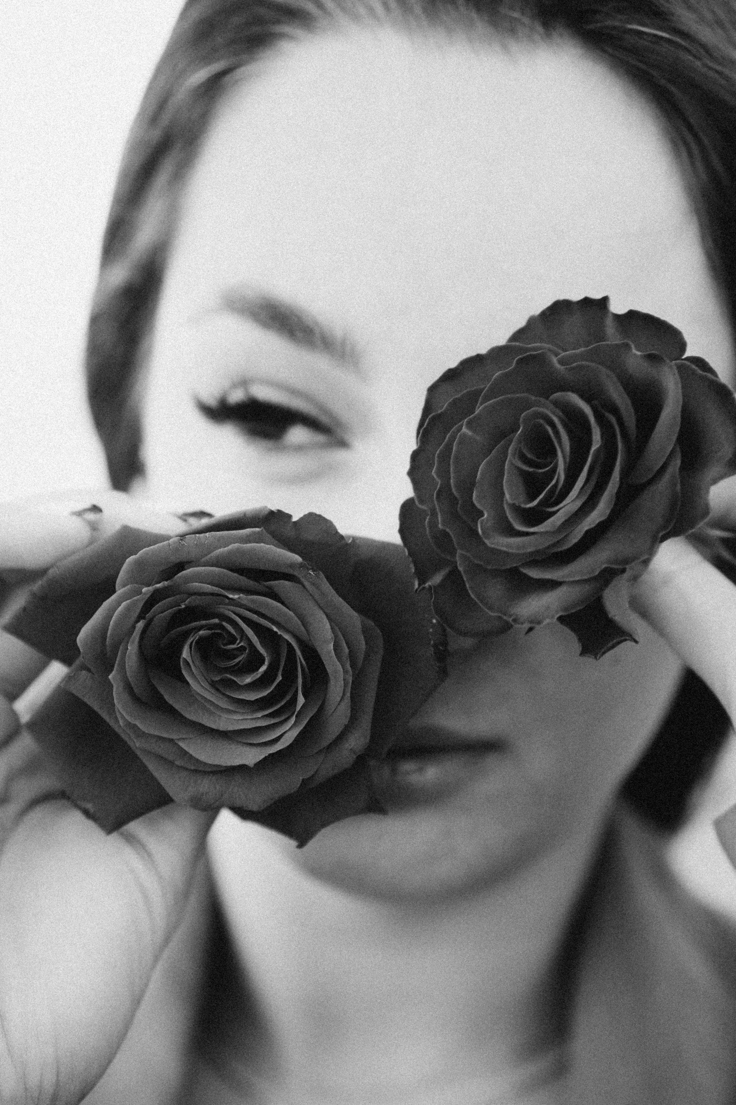 Розы. Профессиональный фотограф, Санкт-Петербург — Виктория Богомолова