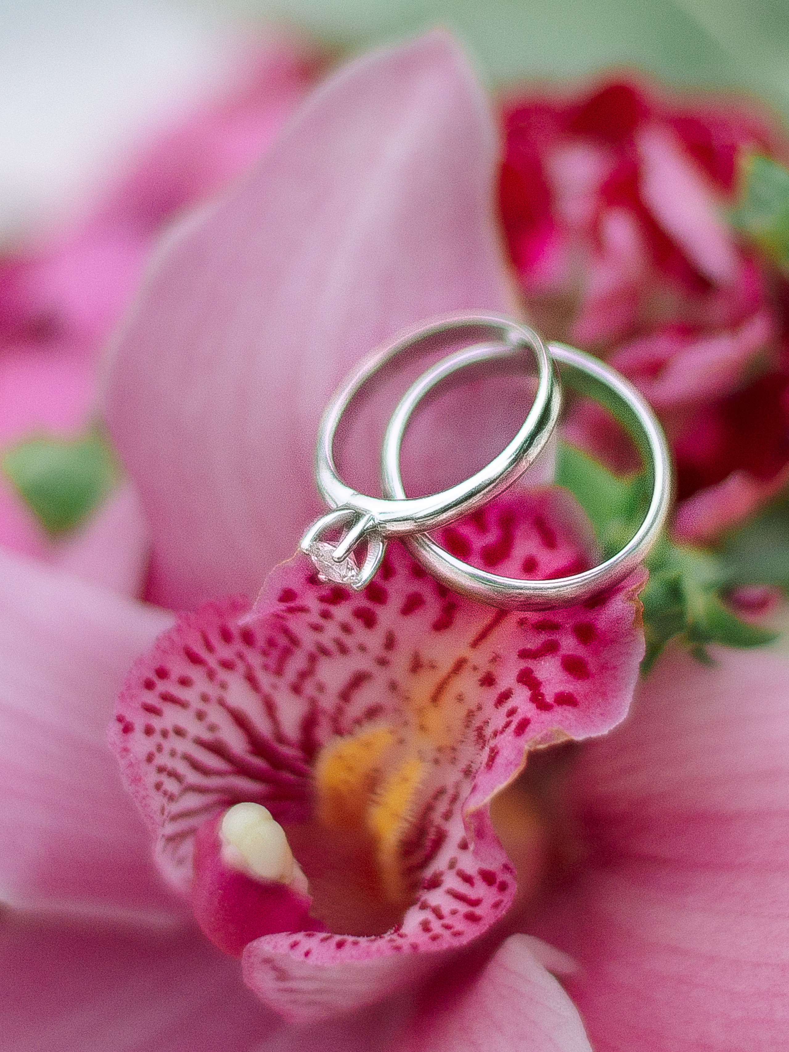 Нежное утро невесты. Семейный и свадебный фотограф Семенова Инна