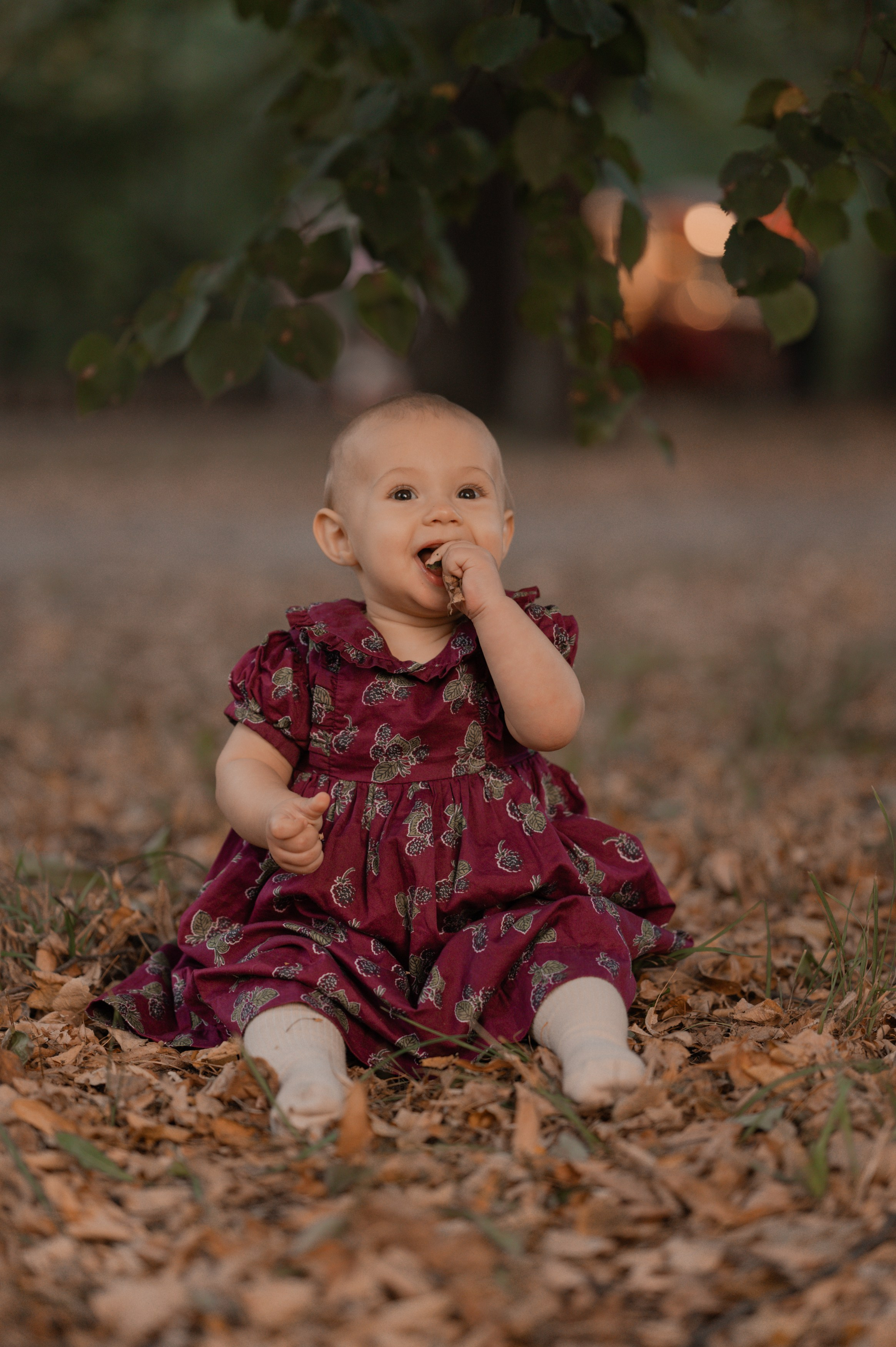 Осень. Фотограф Ким Ангелина
