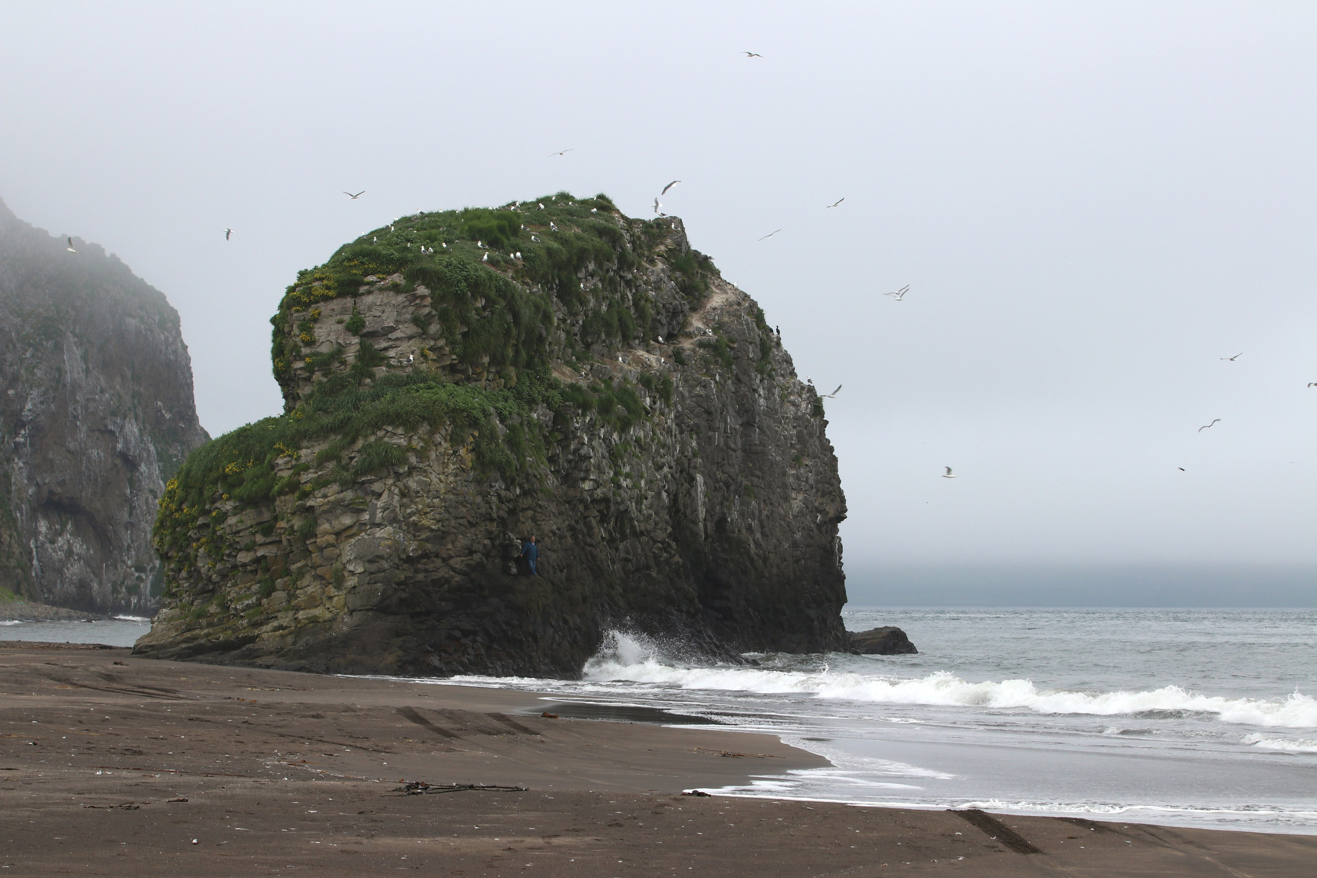 Камчатка и о. Парамушир. Июль 2024. Путешественник-фотограф из Санкт-Петербурга Татьяна Свистулина
