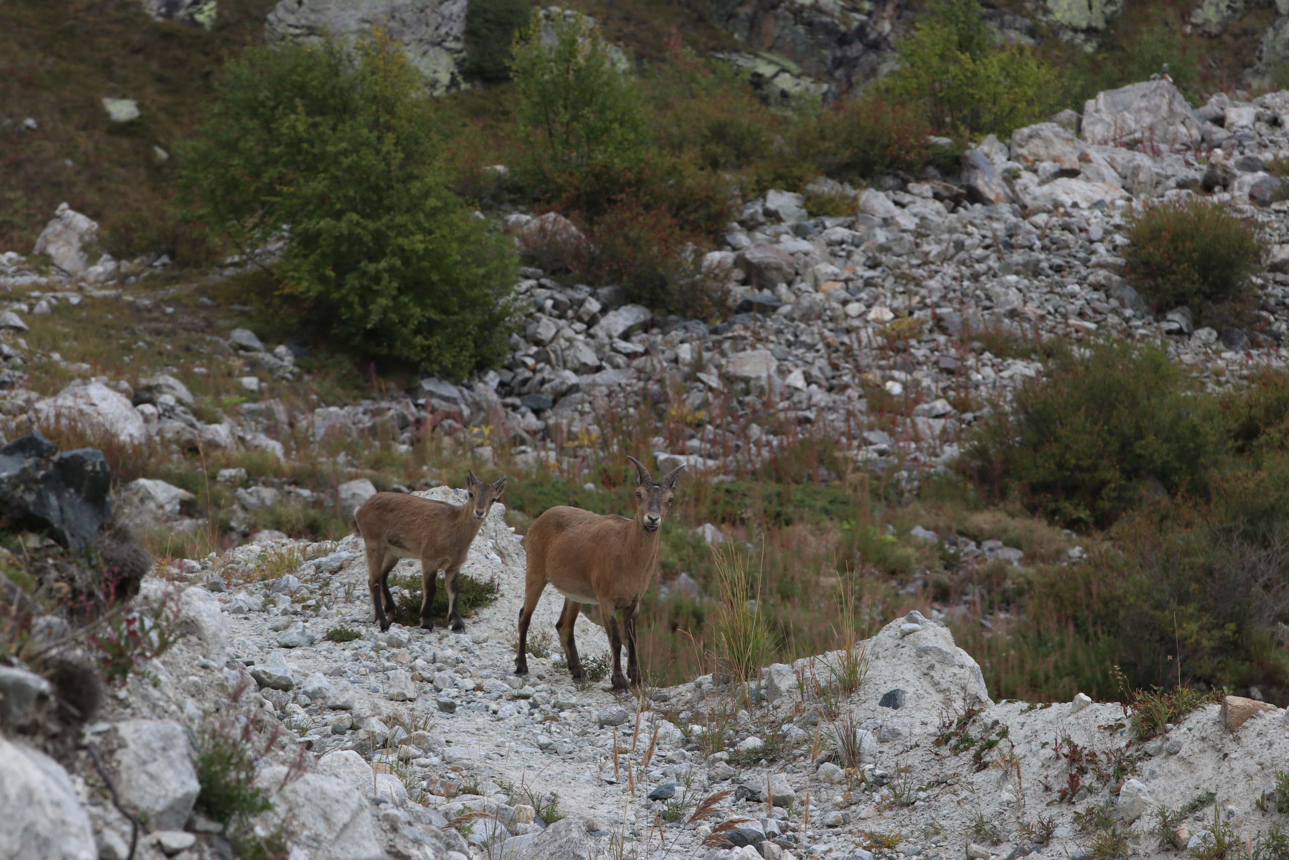 Приэльбрусье. Сентябрь 2023. Путешественник-фотограф из Санкт-Петербурга Татьяна Свистулина